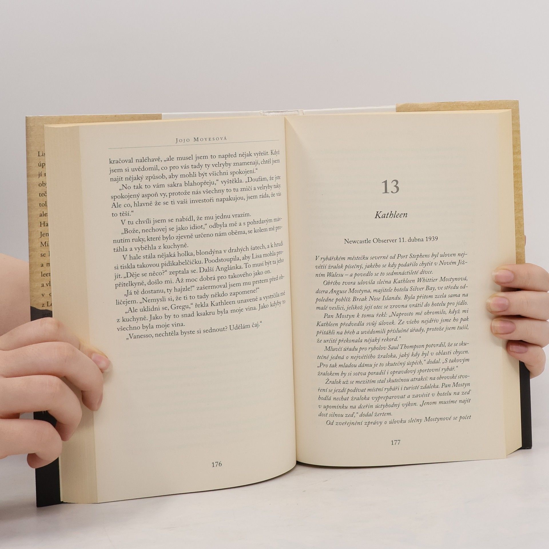 Jojo Moyes Stříbrná zátoka