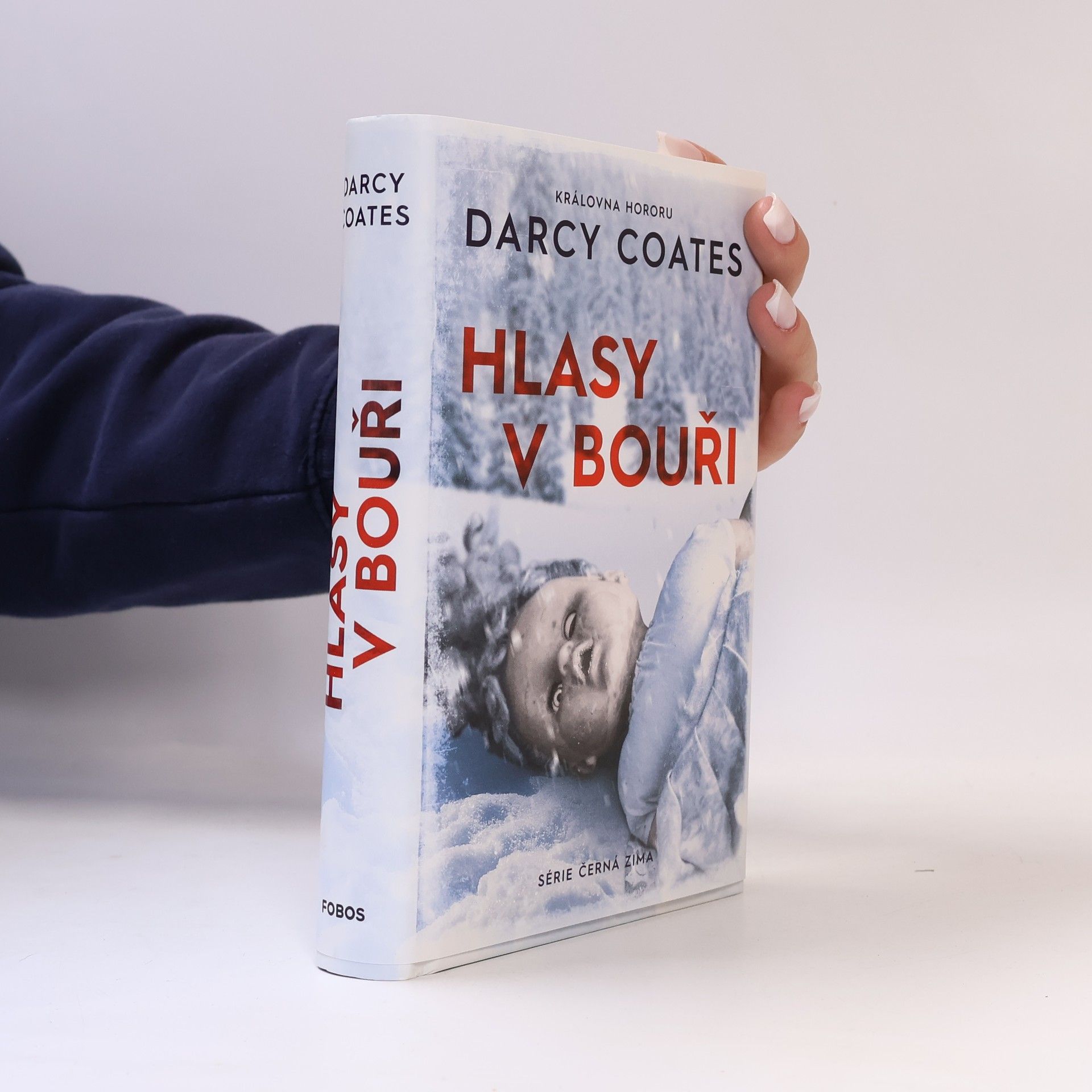 Darcy Coates Hlasy v bouři