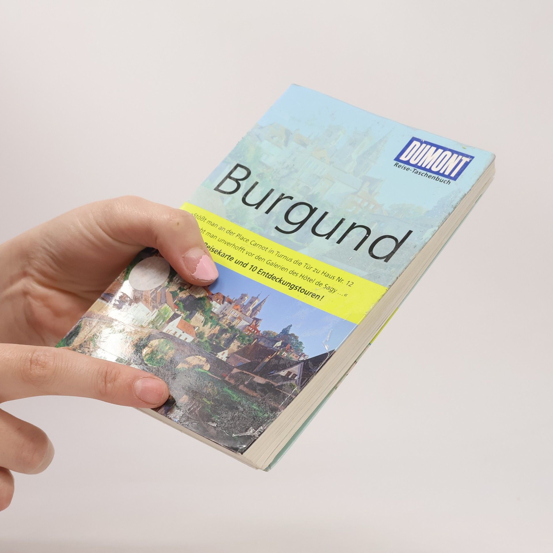 Klaus Simon Burgund