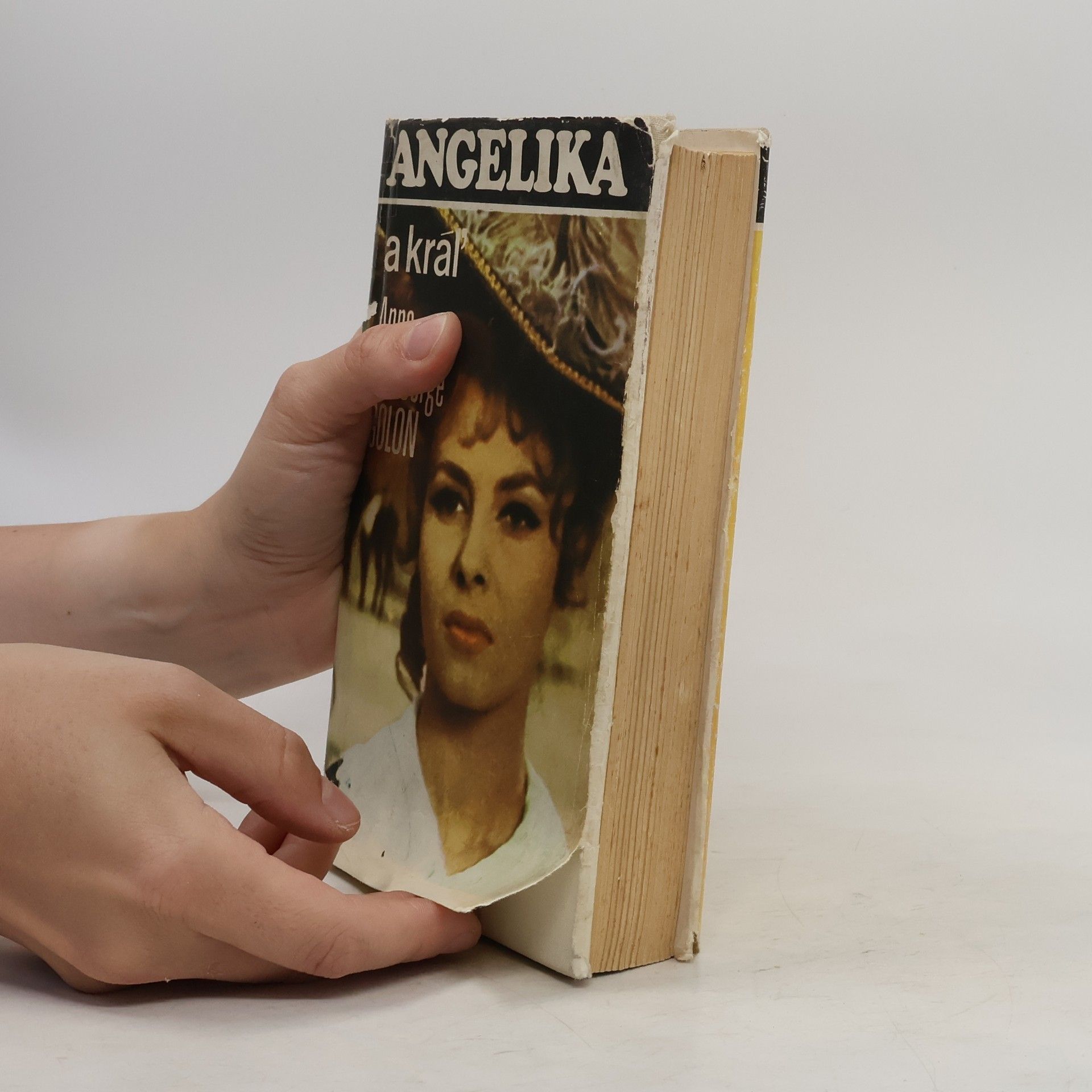 Anne Golon Angelika 3. Angelika a kráľ