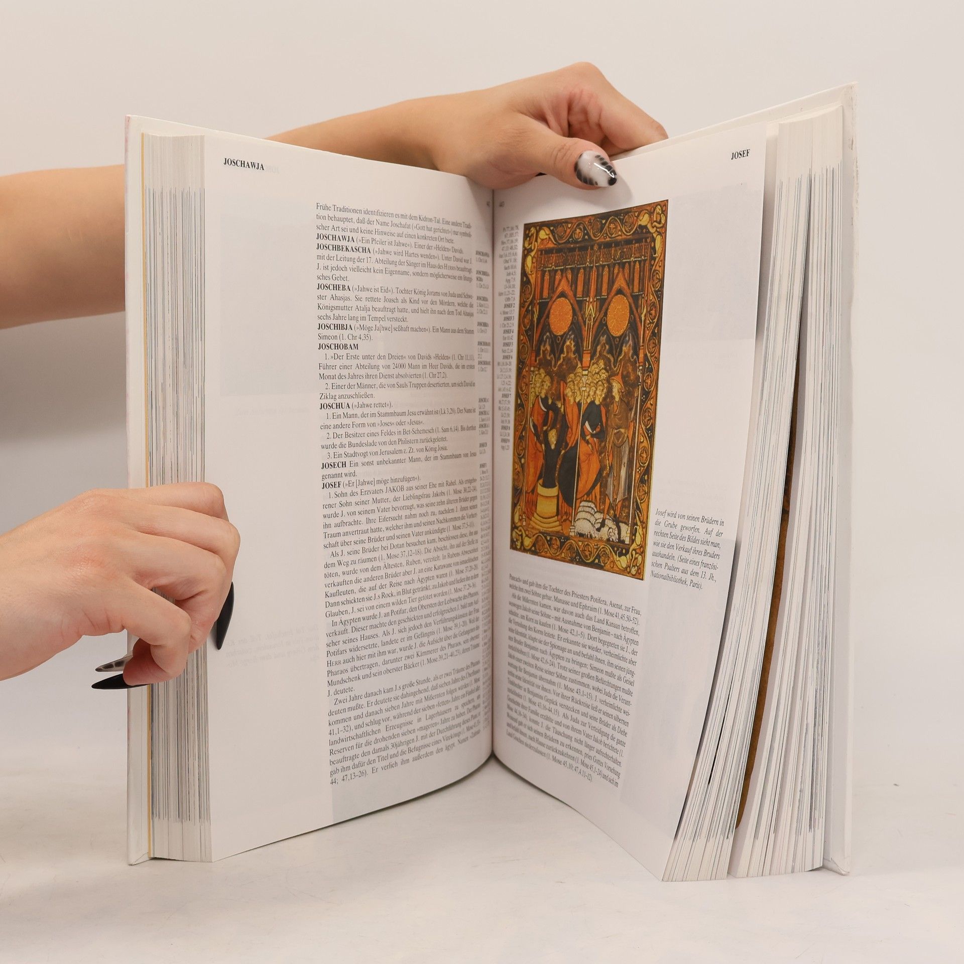 Kurt Hennig Jerusalemer : Bibel-Lexikon
