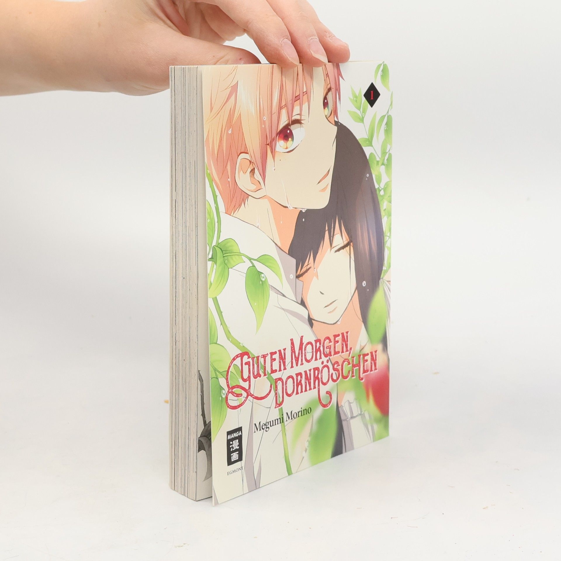 Megumi Morino Guten Morgen, Dornröschen!. Bd.1