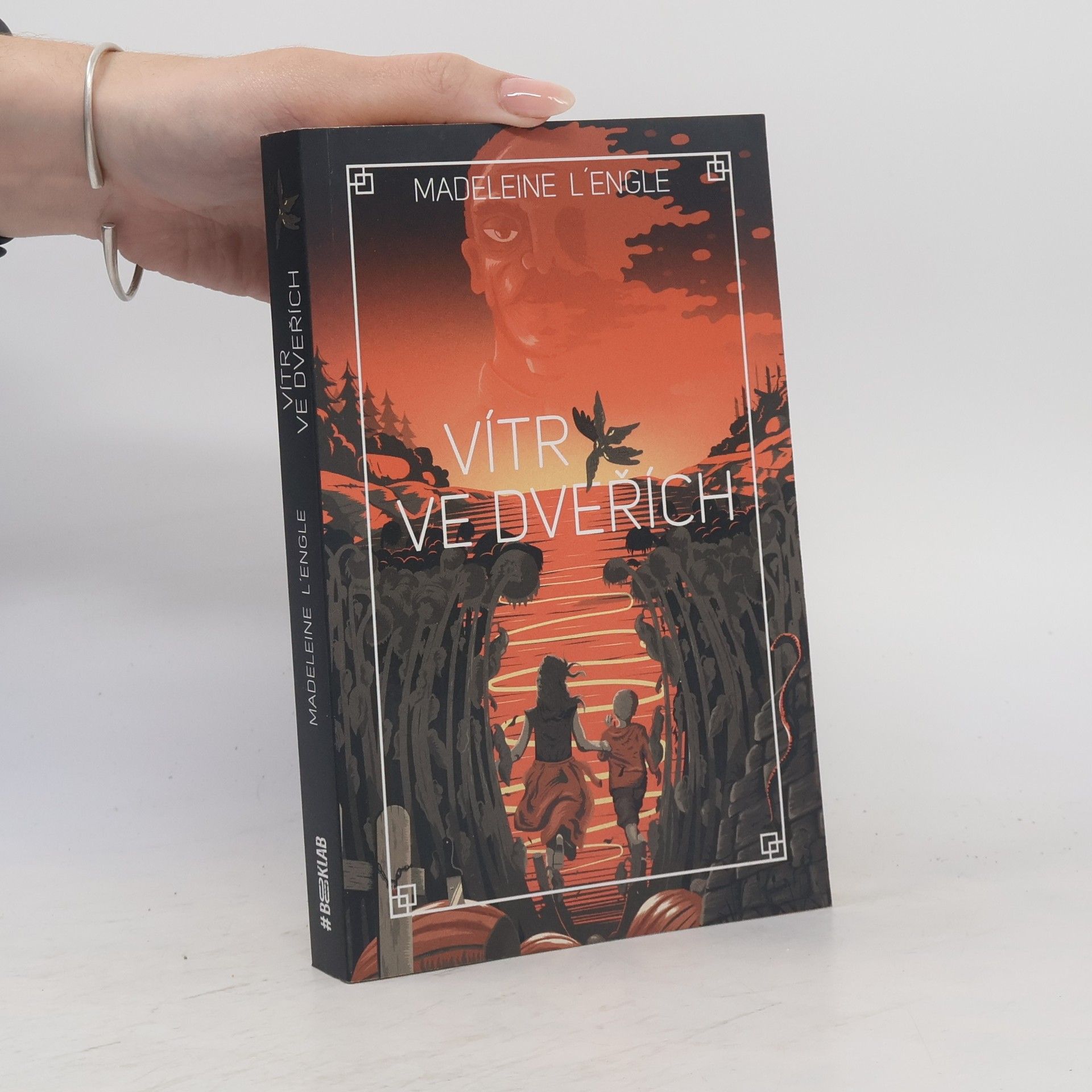 Madeleine L'Engle Vítr ve dveřích