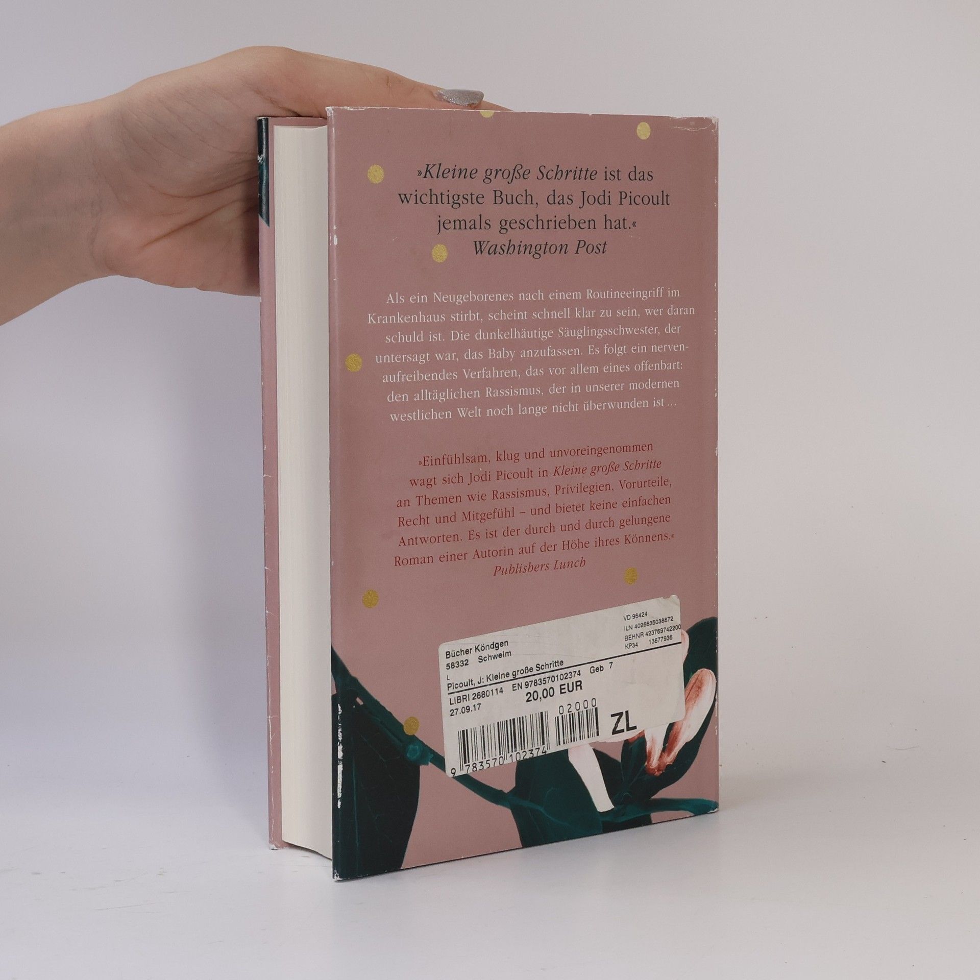 Jodi Picoult Kleine große Schritte