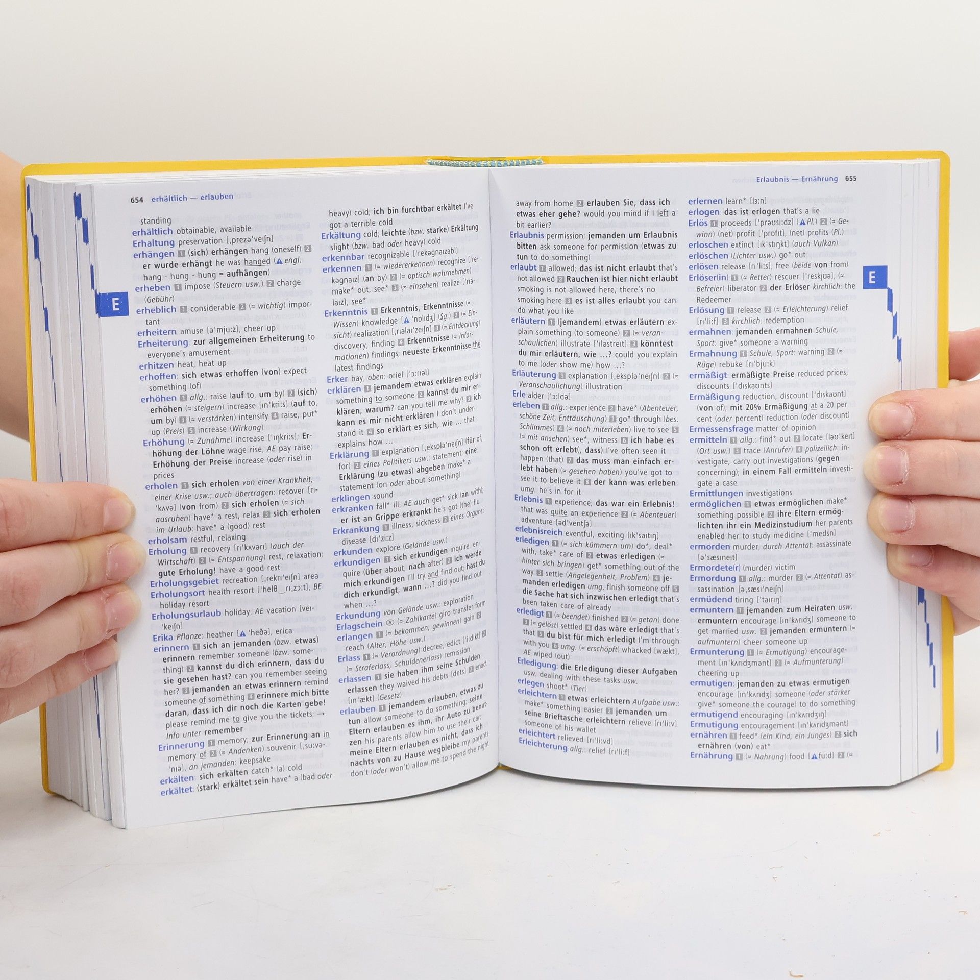 Heike Pleisteiner Langenscheidt, Power-Wörterbuch Englisch