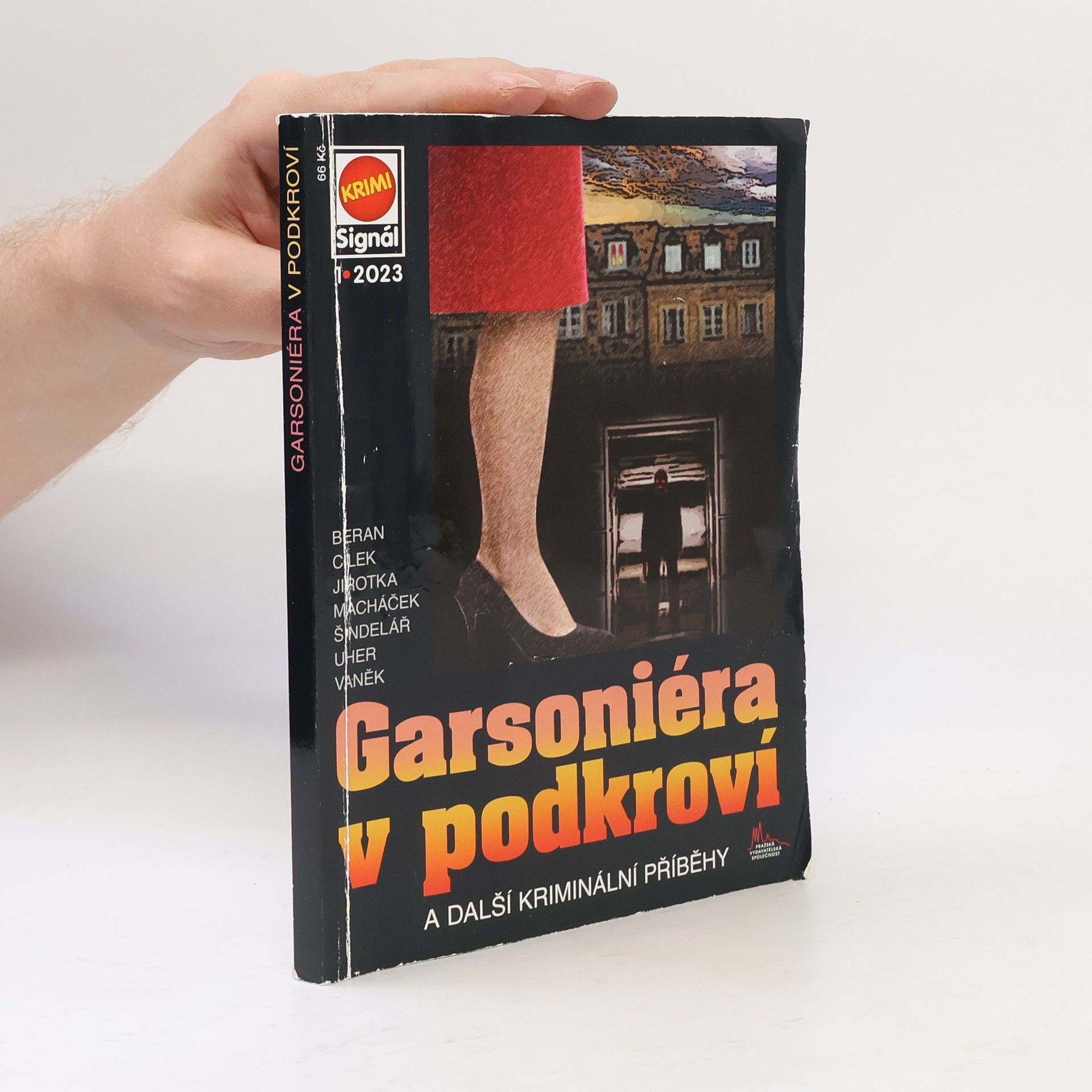 Garsoniéra v podkroví 1/2023