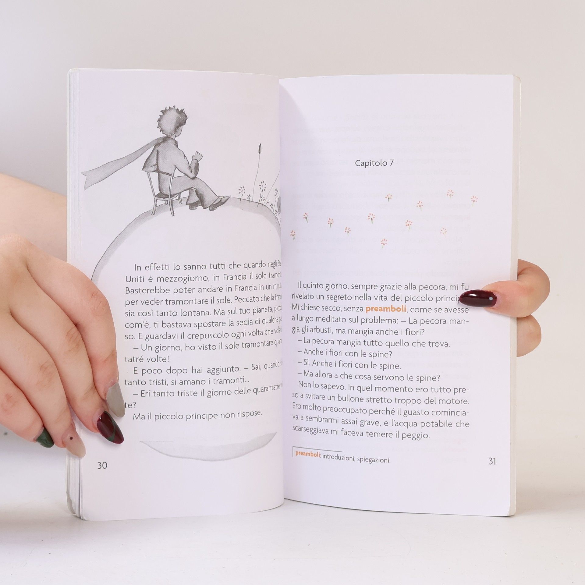 Antoine de Saint-Exupéry Il Piccolo Principe