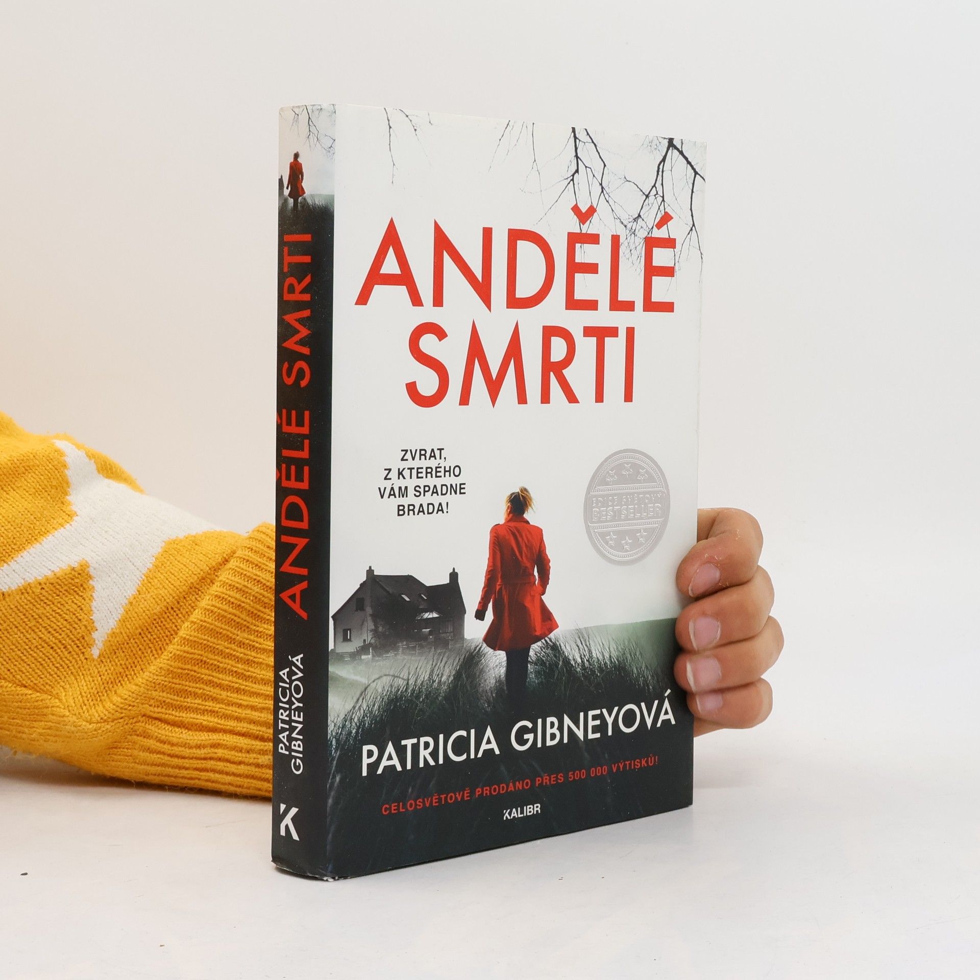 Patricia Gibney Andělé smrti