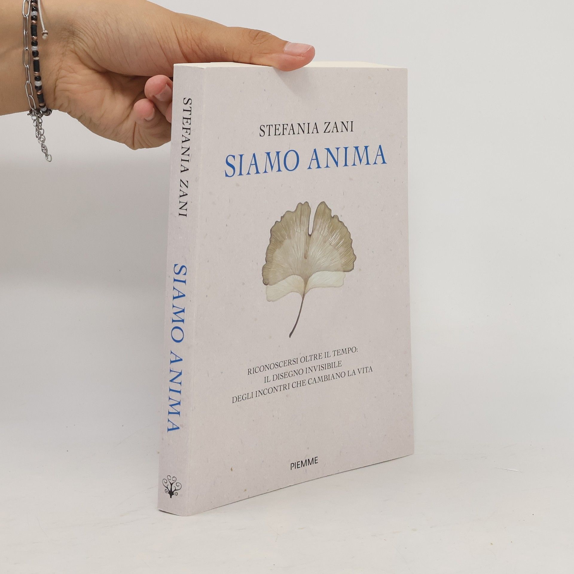 Stefania Zani Siamo anima. Riconoscersi oltre il tempo: il disegno invisibile degli incontri che cambiano la vita