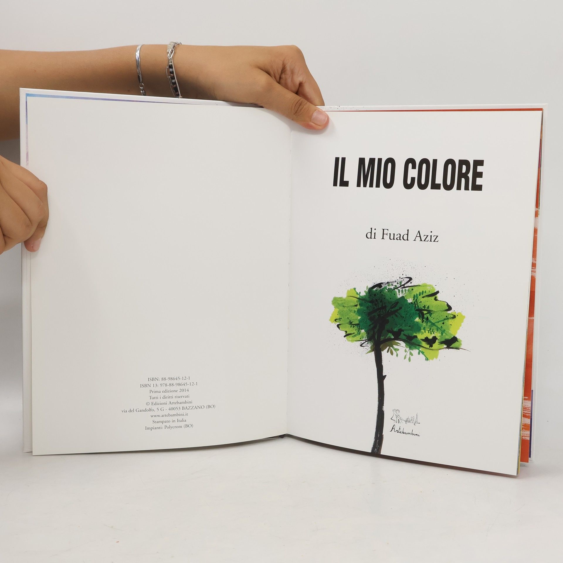 Fuad Aziz Il mio colore