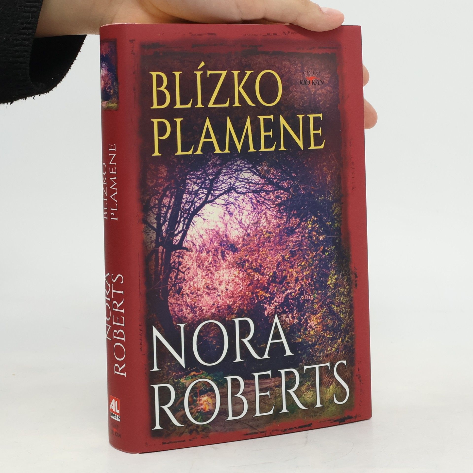Nora Roberts Blízko plamene