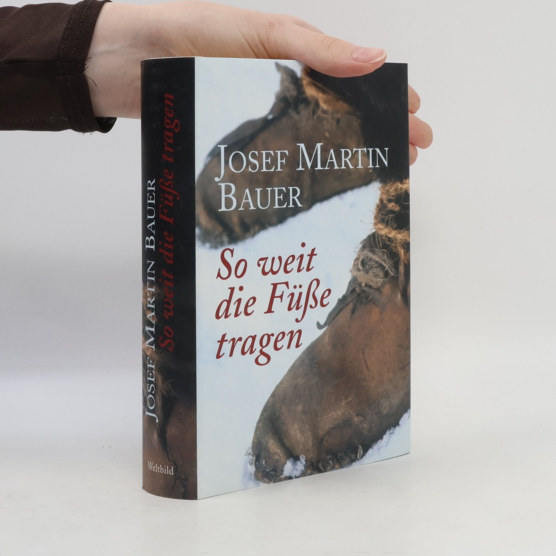 Josef Martin Bauer So weit die Füße tragen