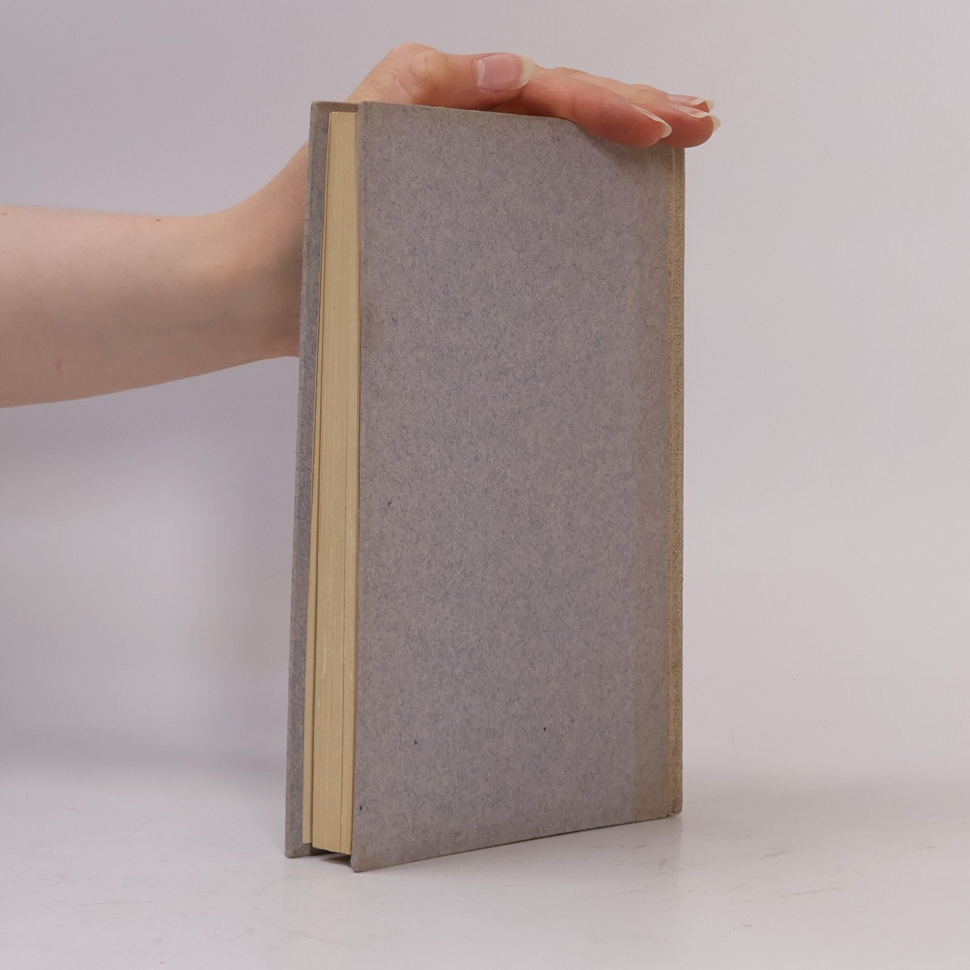 Rainer Maria Rilke Das Stunden-Buch