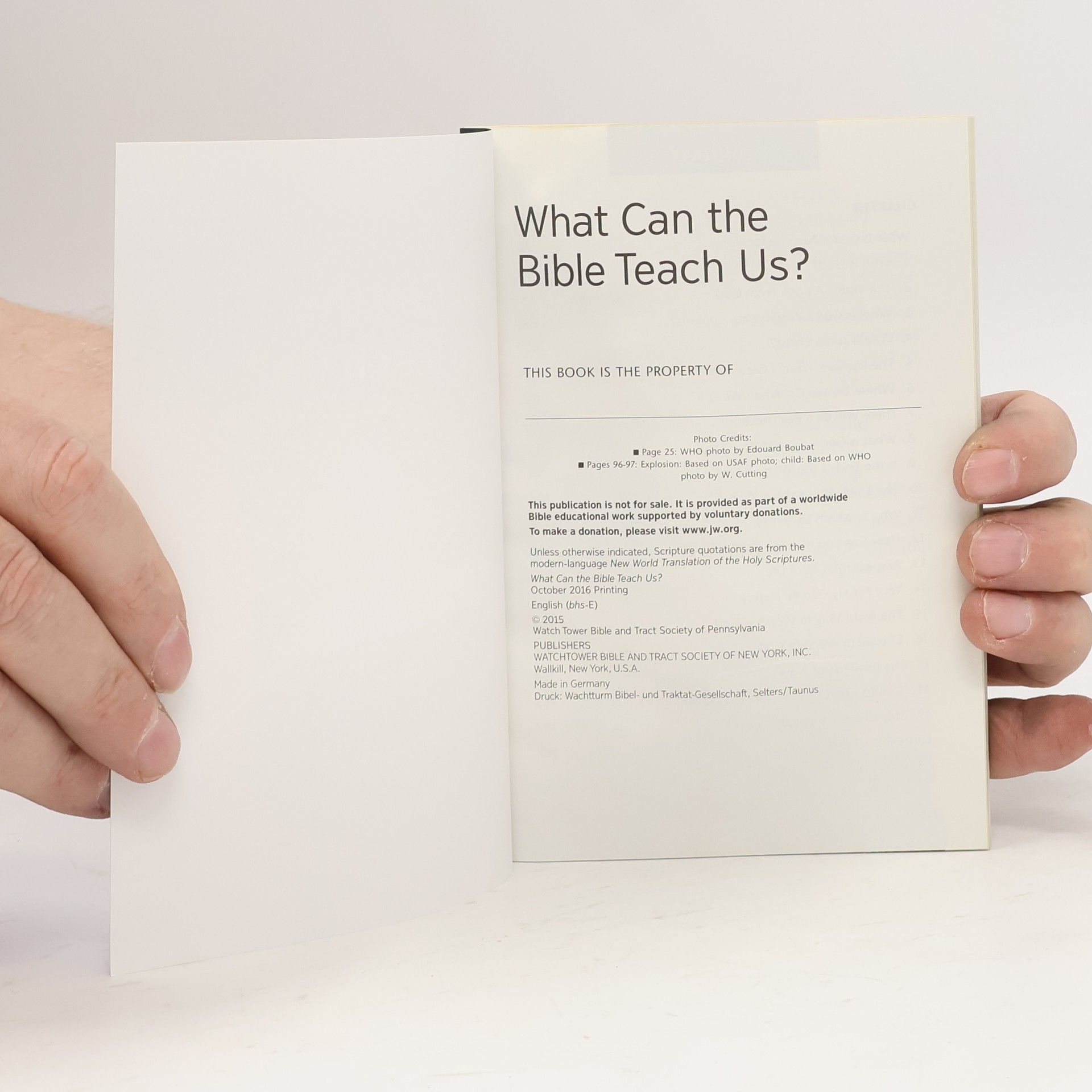 Kolektiv autorů What Can the Bible Teach Us?