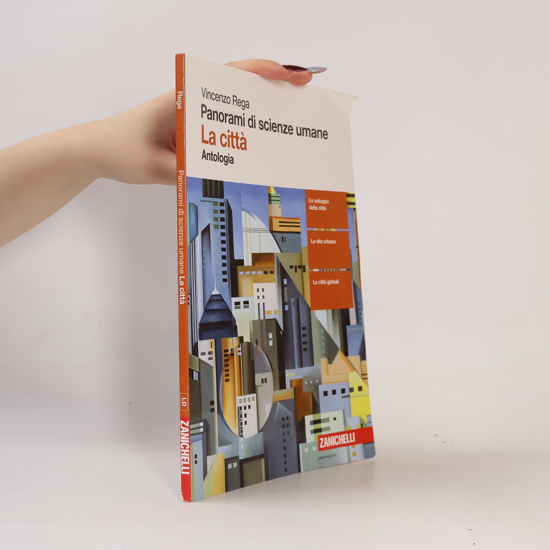 Panorami di scienze umane. Antropologia, sociologia-antologia La città. Per le scuole superiori. Con e-book. Con espansione online