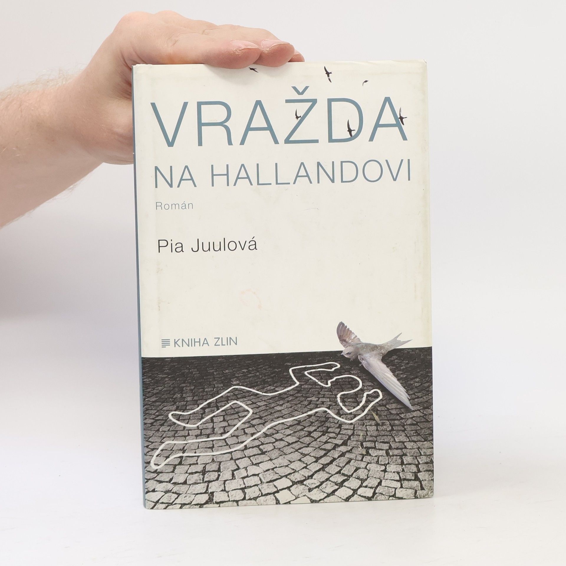 Pia Juul Vražda na Hallandovi