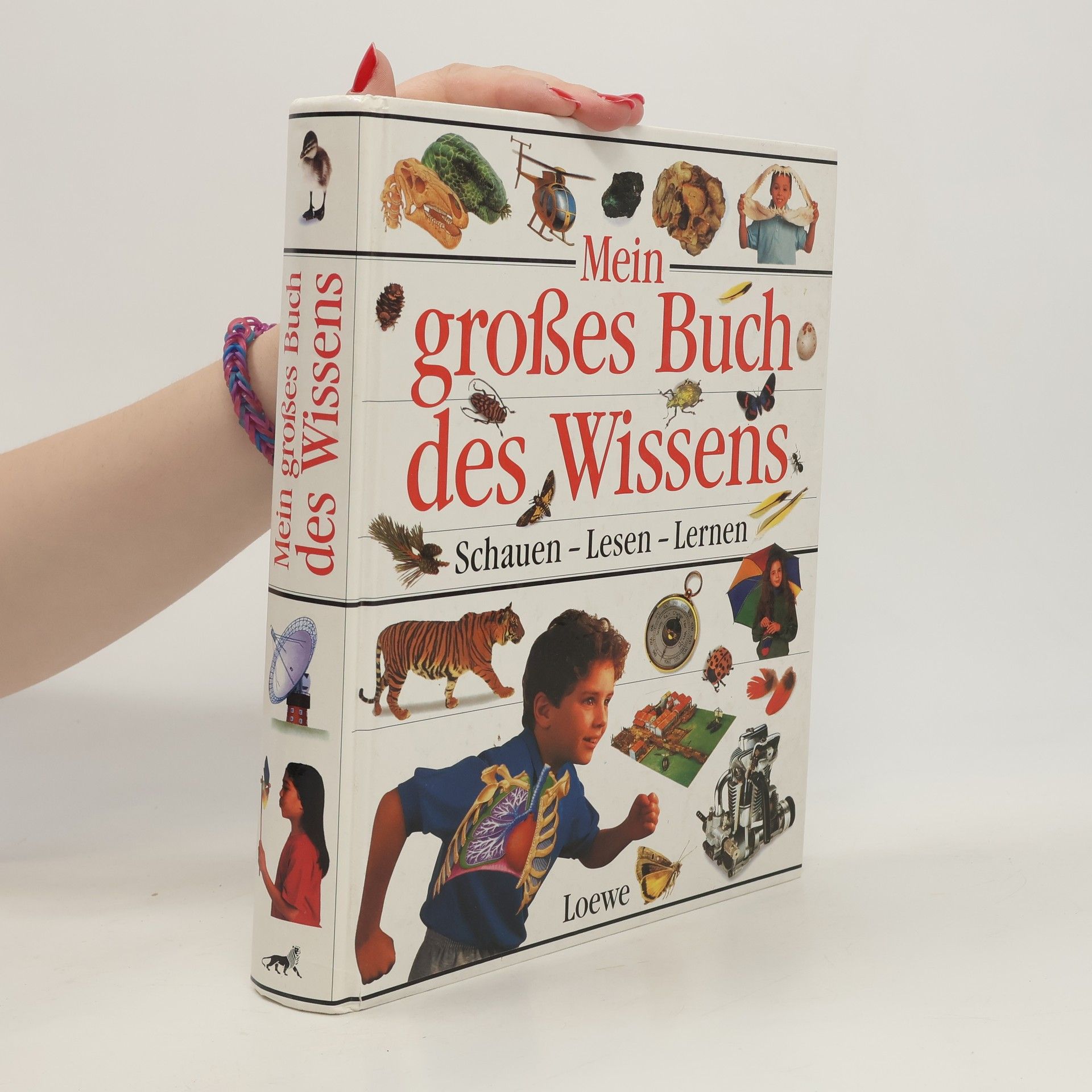 Susanne Härtel Mein grosses Buch des Wissens