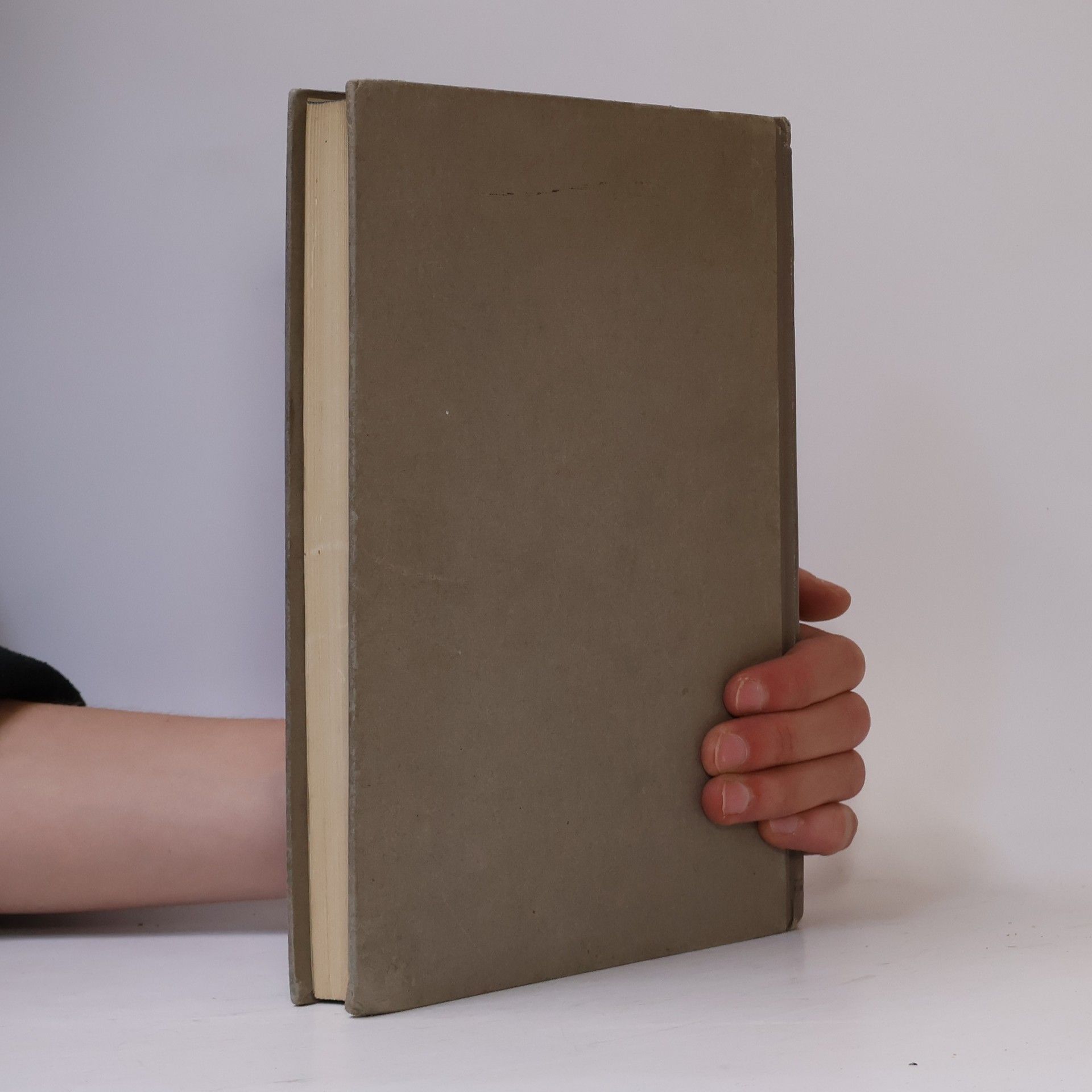 Jacob Burckhardt Die Kultur der Renaissance in Italien
