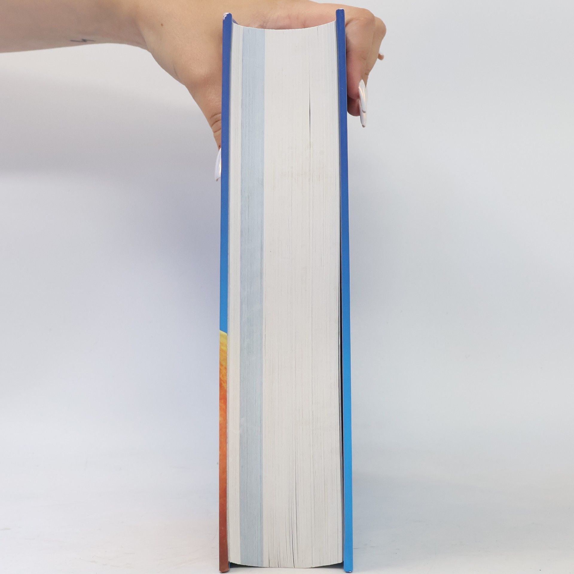 Volkward E. Strauß Das große Mosaik-Gesundheitsbuch