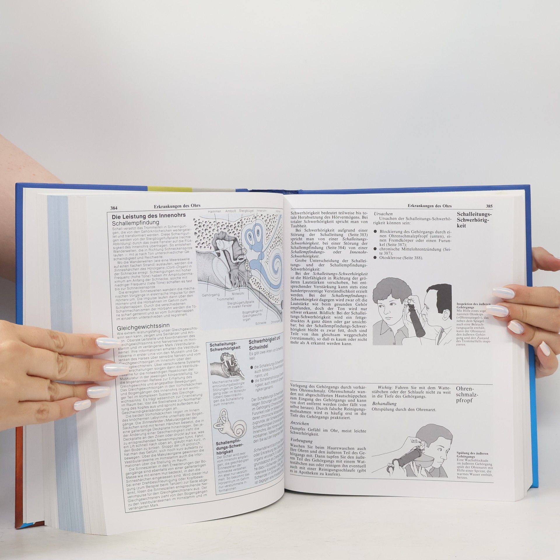 Volkward E. Strauß Das große Mosaik-Gesundheitsbuch