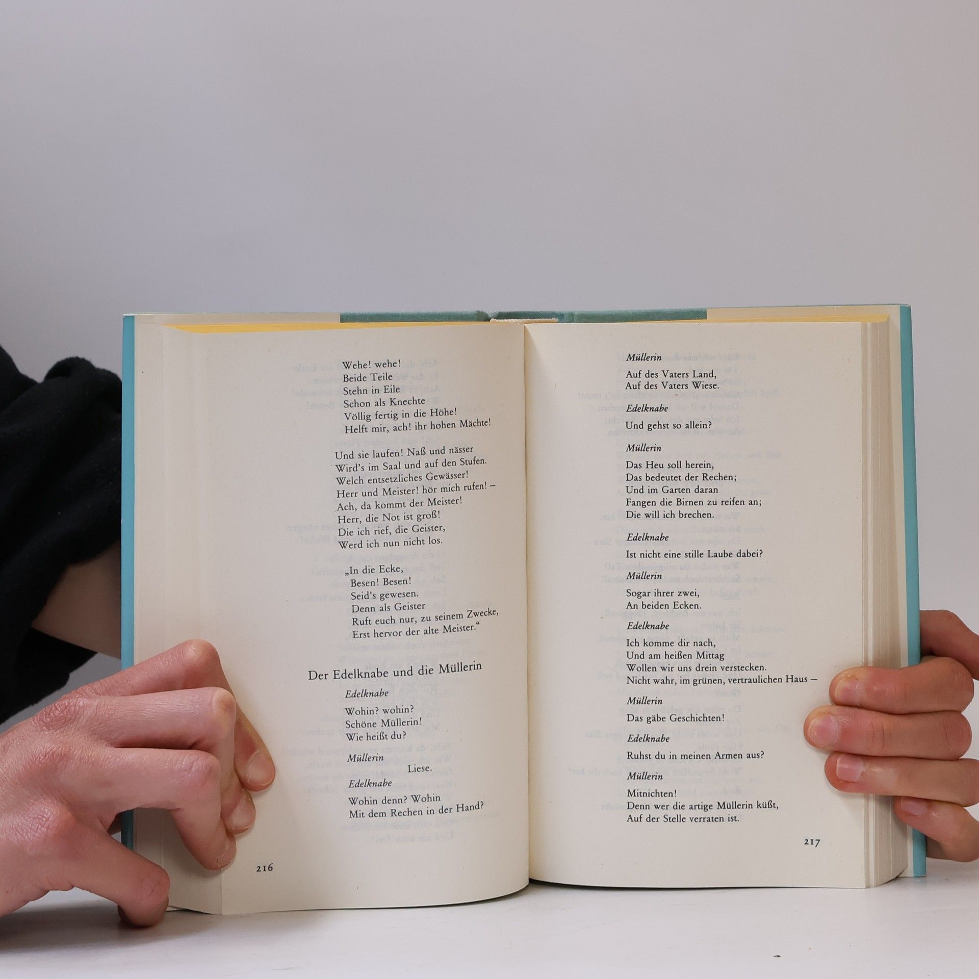 Johann Wolfgang von Goethe Gedichte