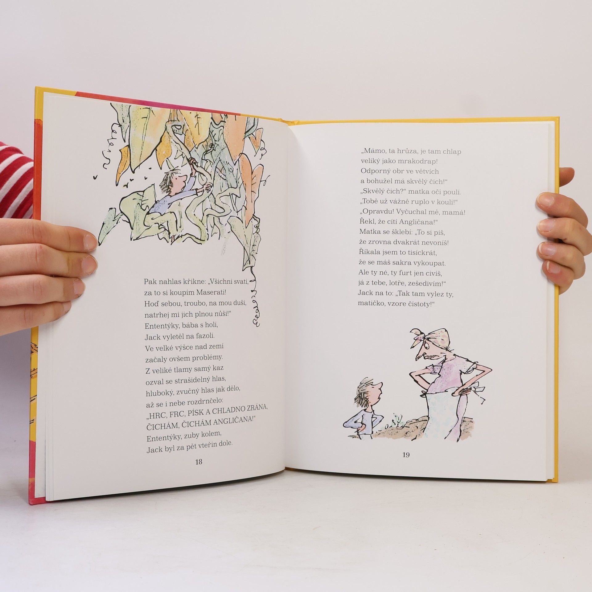 Roald Dahl Zdivočelé pohádky