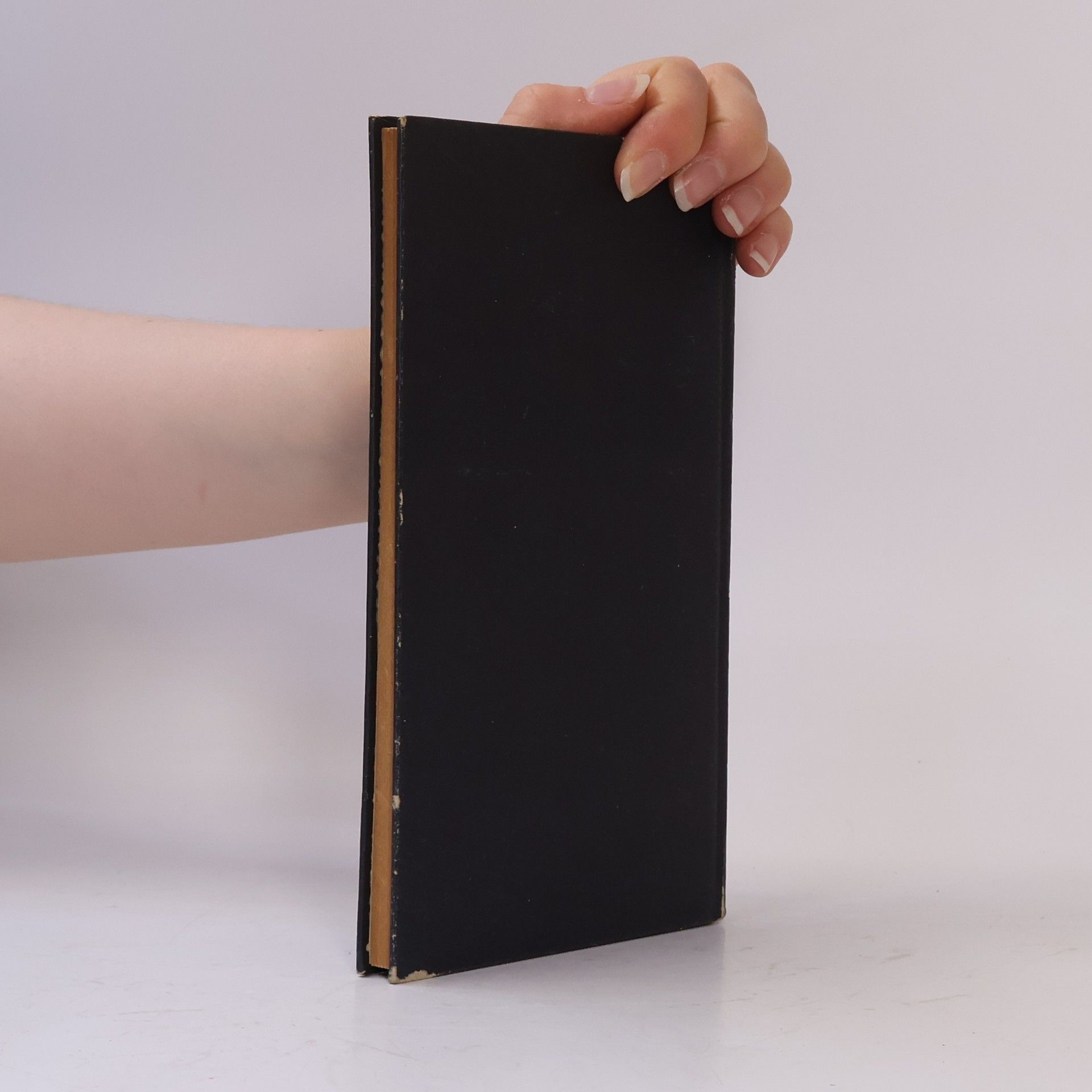 Collectif d'auteurs Tod und Unsterblichkeit