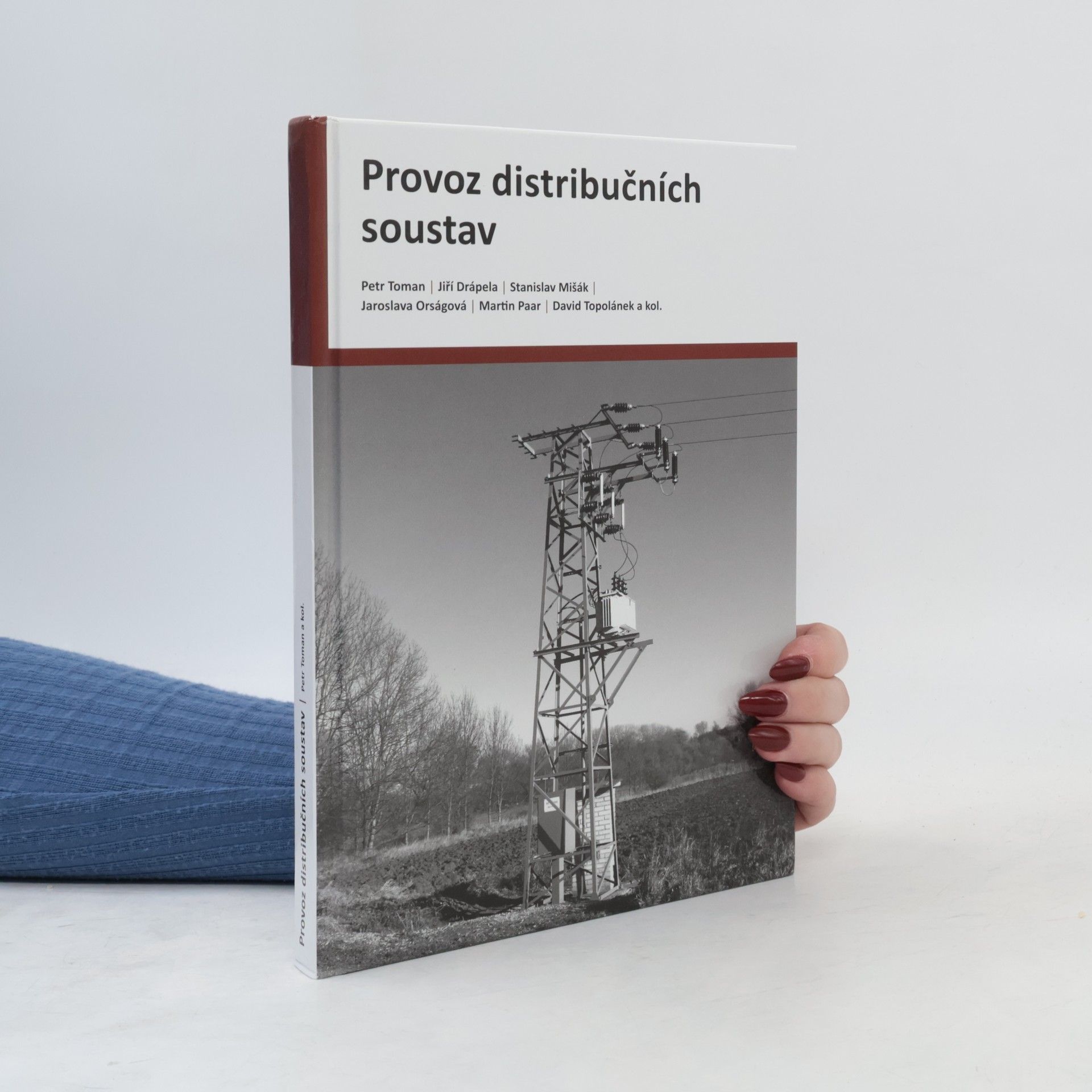 Petr Toman Provoz distribučních soustav