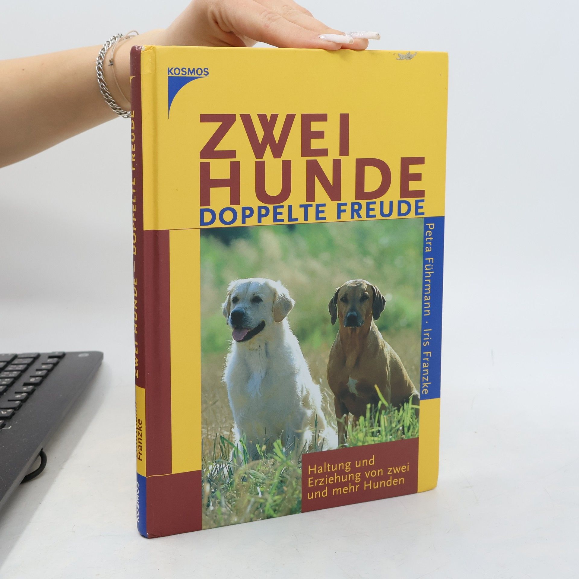 Petra Führmann Zwei Hunde - doppelte Freude