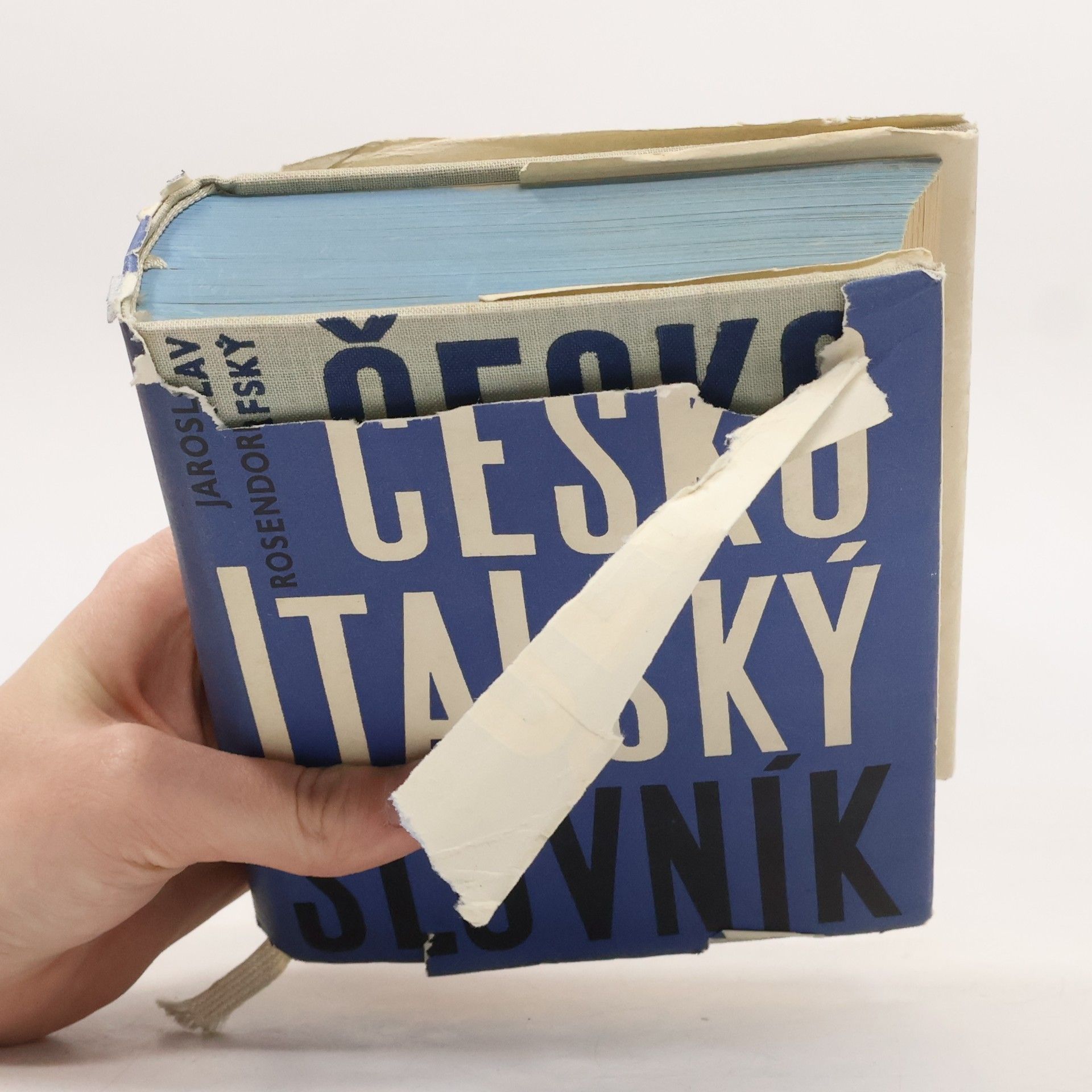 Jaroslav Rosendorfský Česko-italský slovník