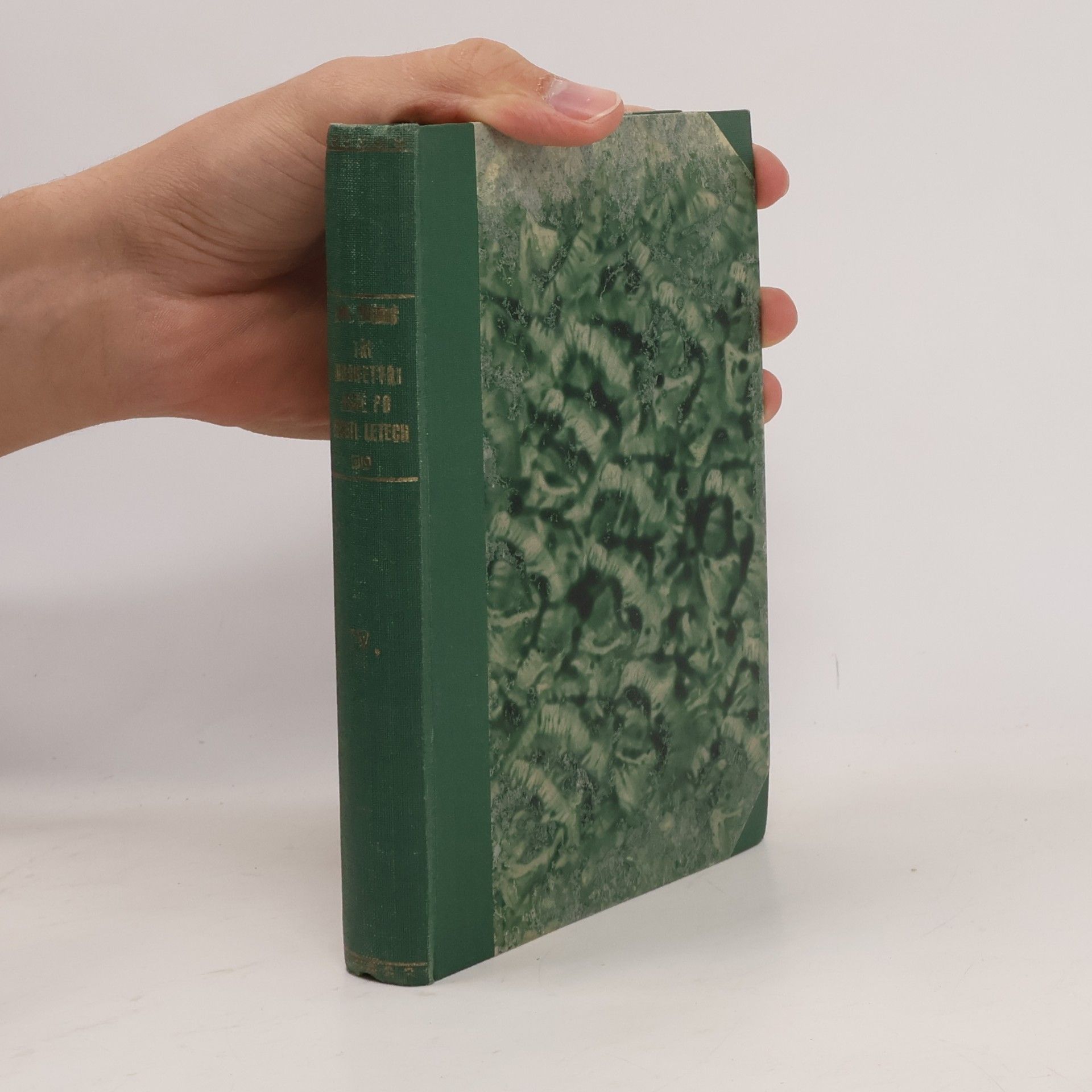 Alexandre Dumas starší Tři mušketýři ještě po deseti letech IV.