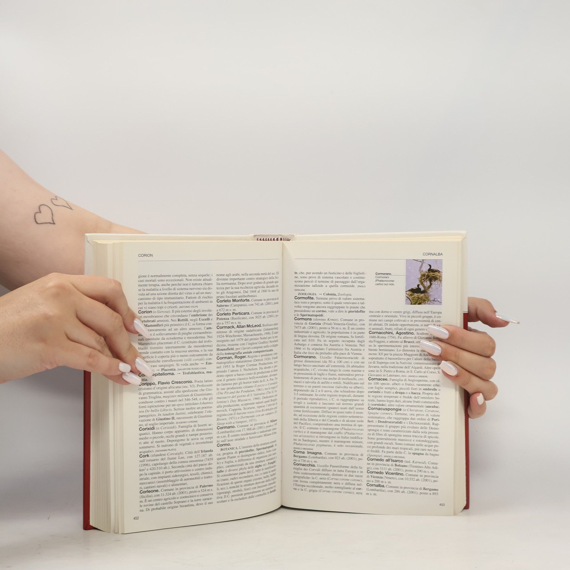 Various authors L'Enciclopedia 5. Classi-Dalh