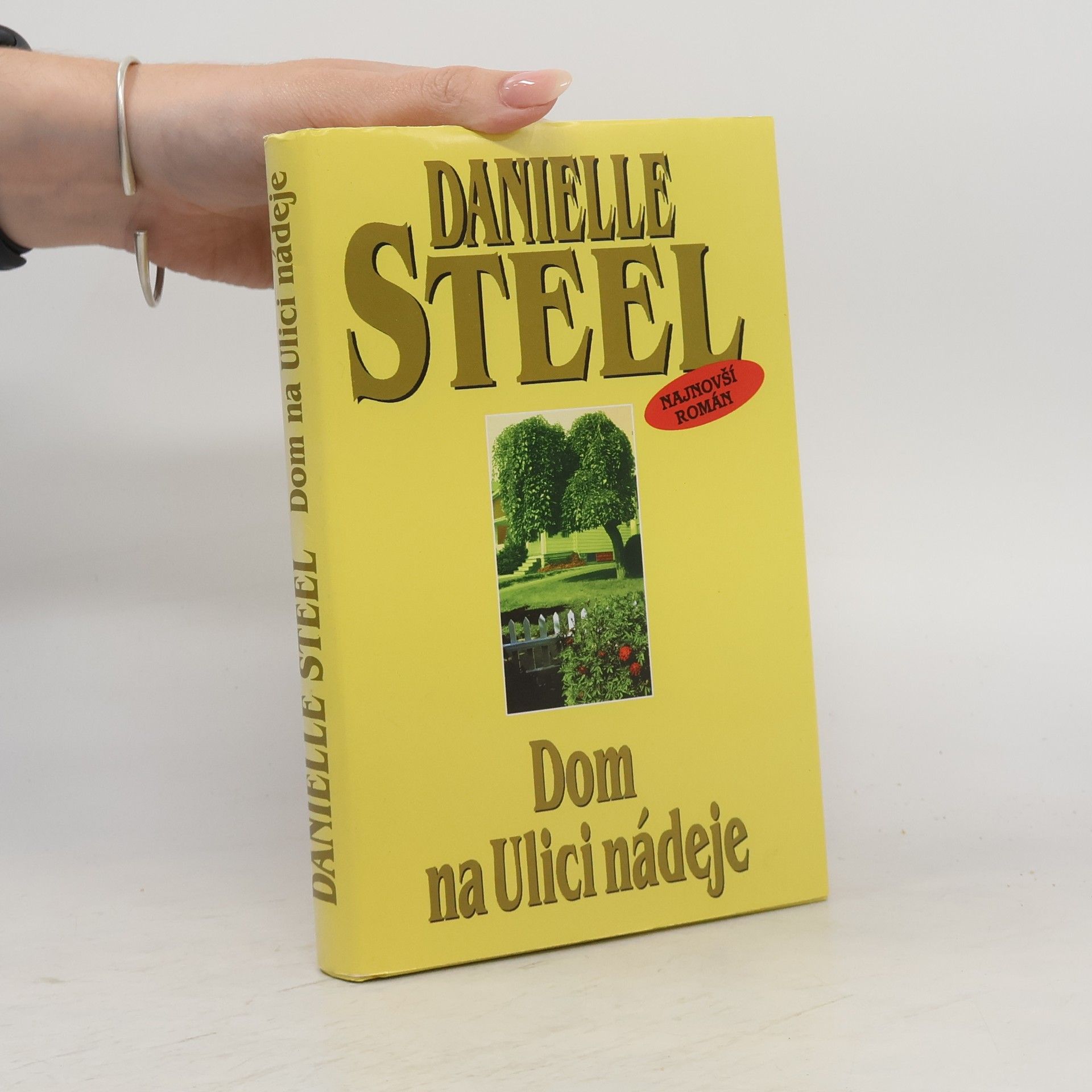 Danielle Steel Dom na Ulici nádeje