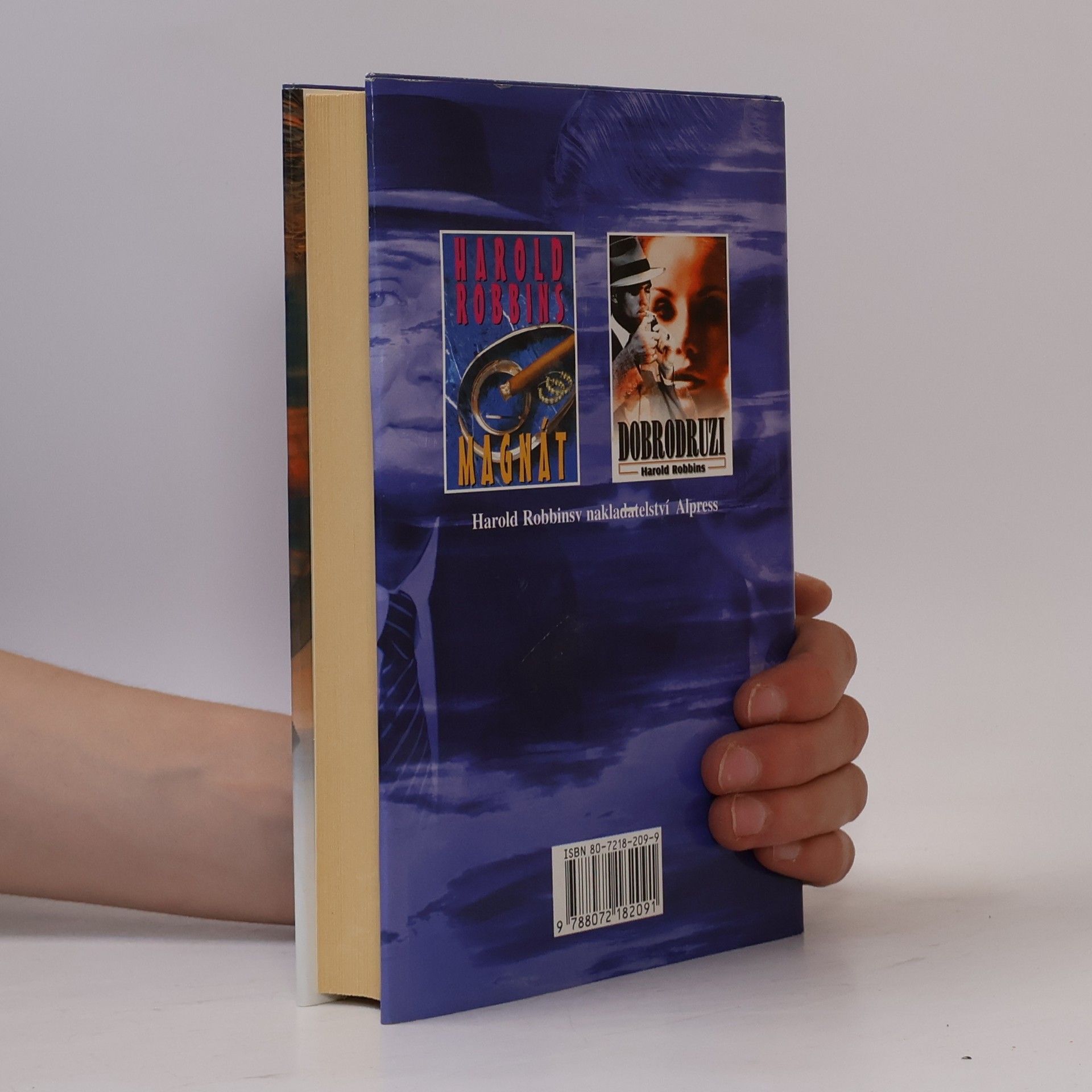 Harold Robbins Vzpomínky na minulé