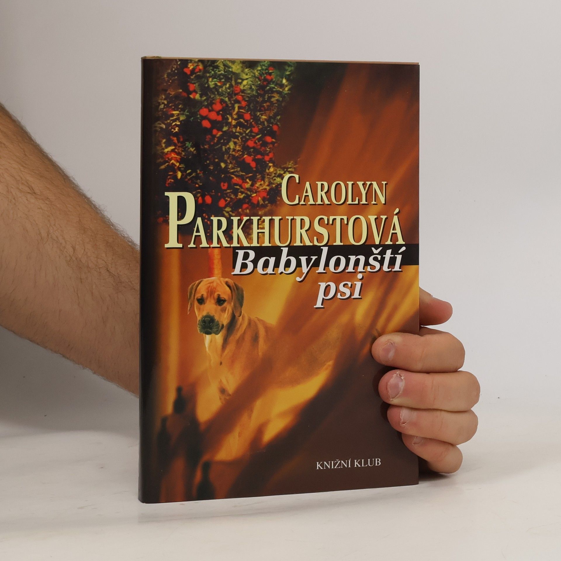 Carolyn Parkhurst Babylonští psi