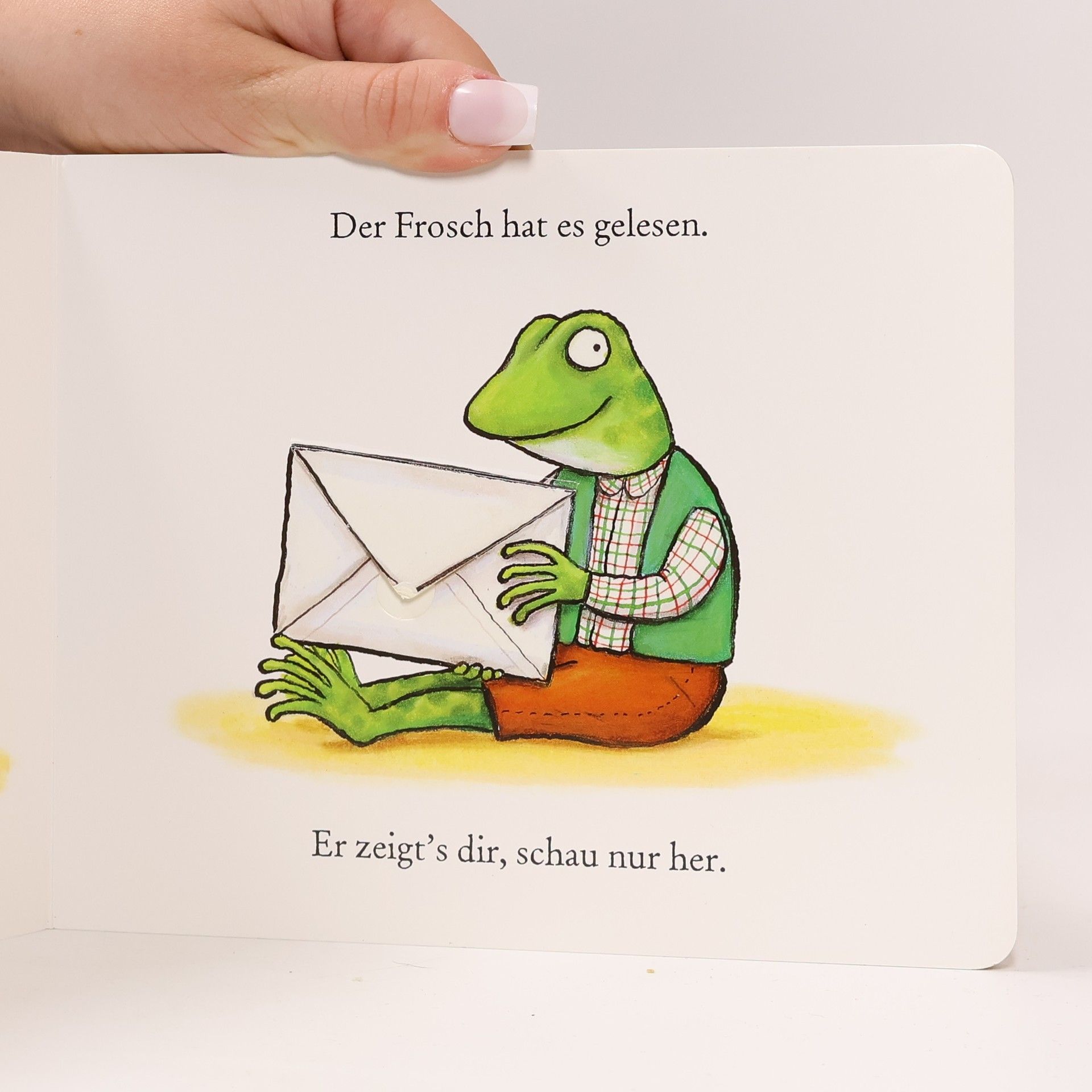 Axel Scheffler Der Bär schreibt heute Briefe