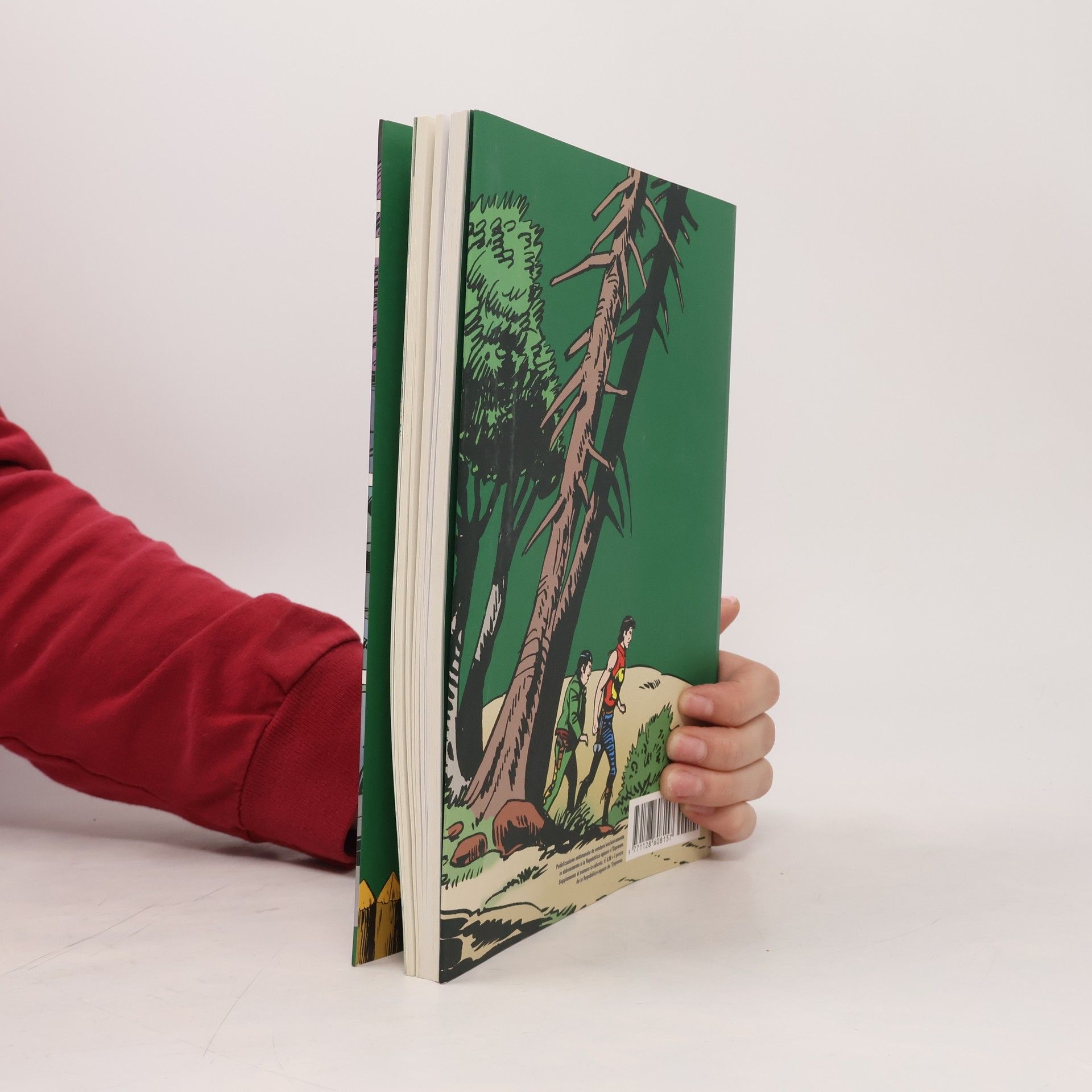 Autorenkollektiv Zagor 104