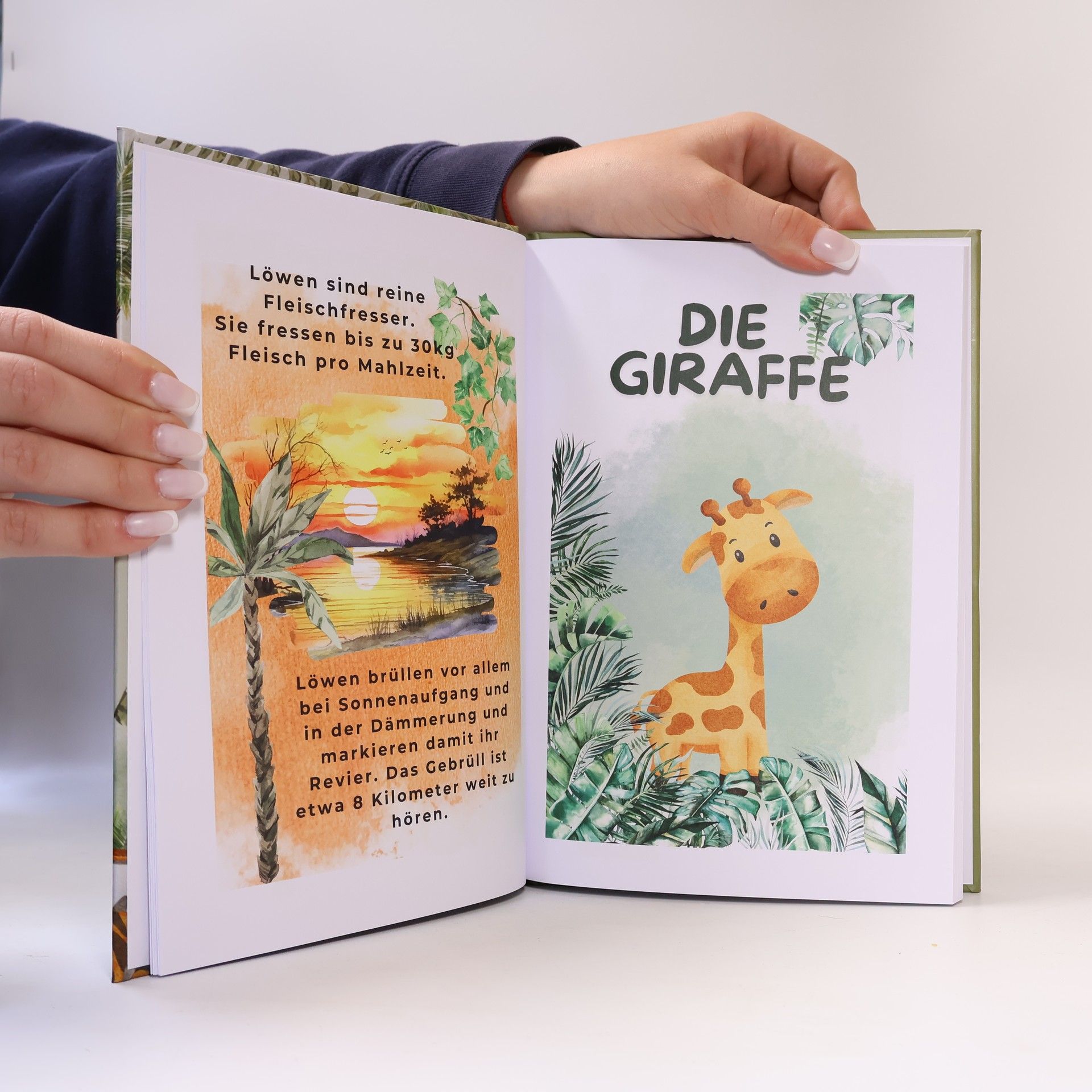 Sandra Castellione Komm wir gehen auf Safari!