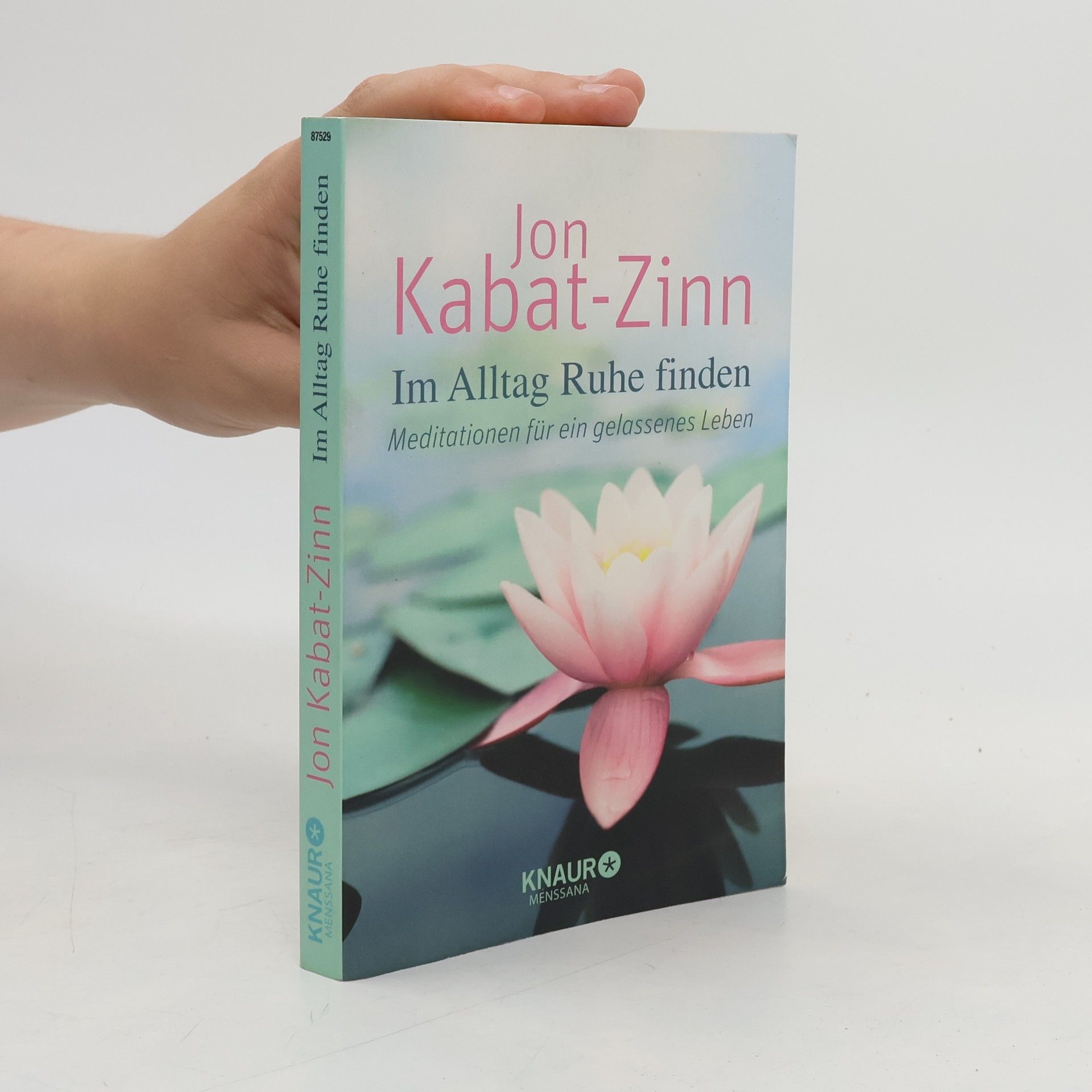 Jon Kabat-Zinn Im Alltag Ruhe finden