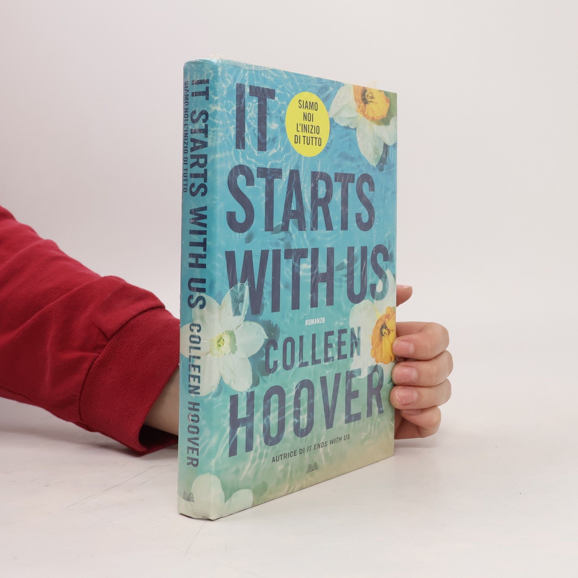 Colleen Hoover It Starts with Us