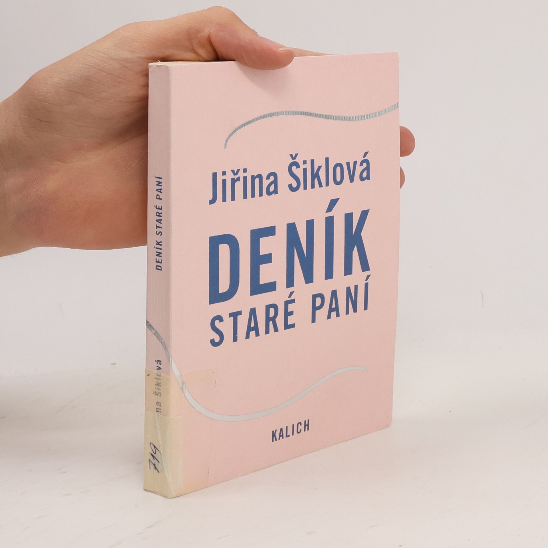 Jiřina Šiklová Deník staré paní