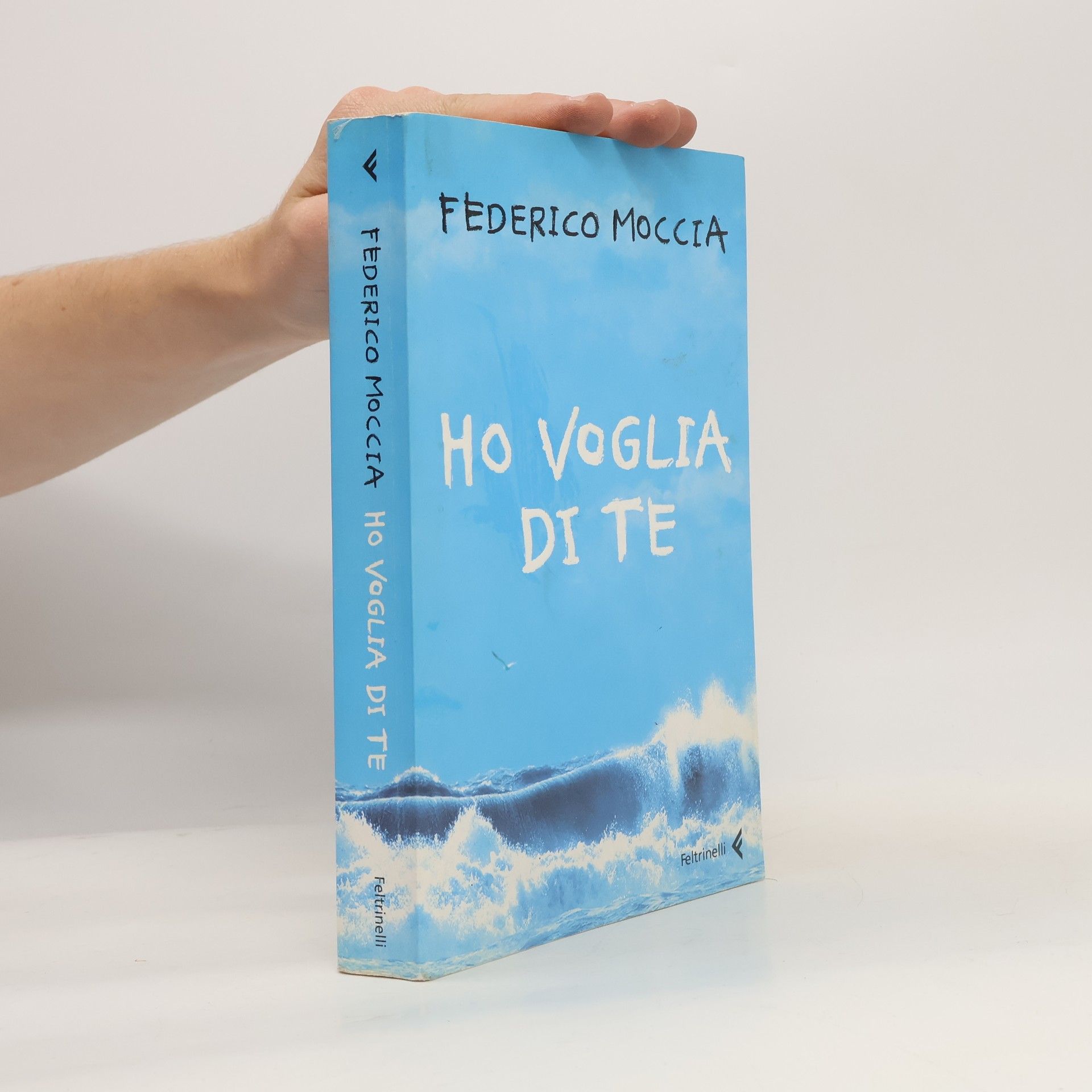 Federico Moccia Ho voglia di te