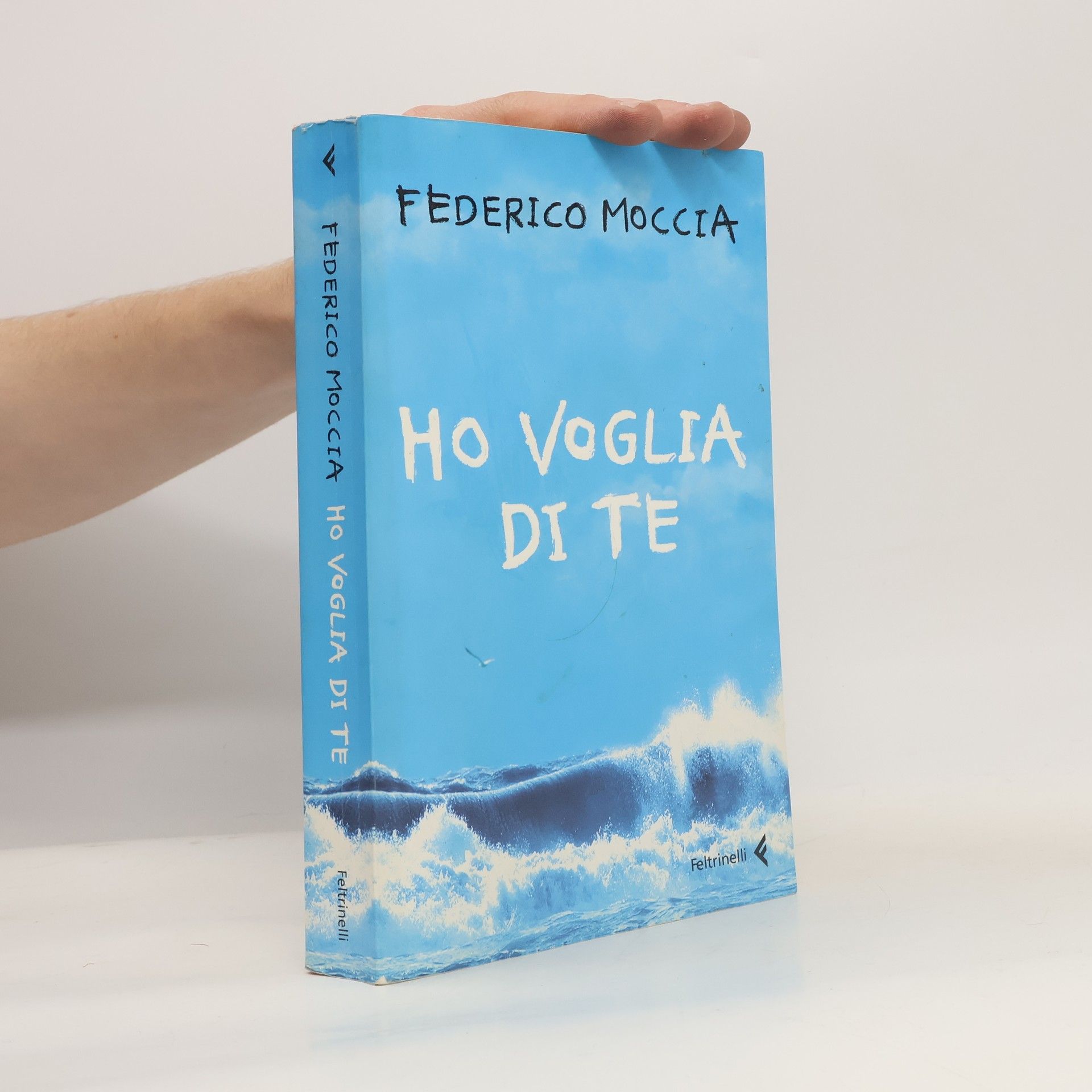 Federico Moccia Ho voglia di te