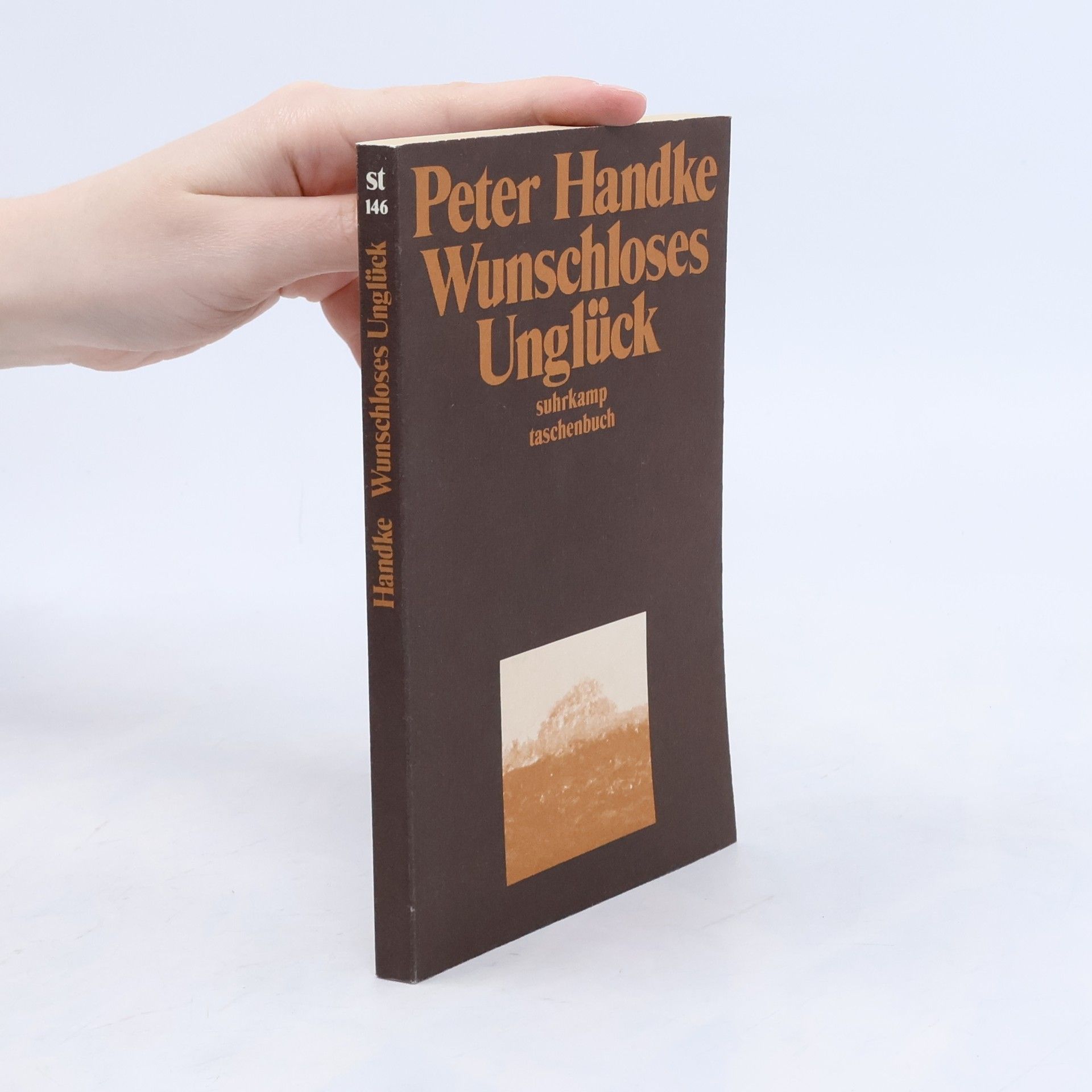 Peter Handke Wunschloses Unglück: Erzählung