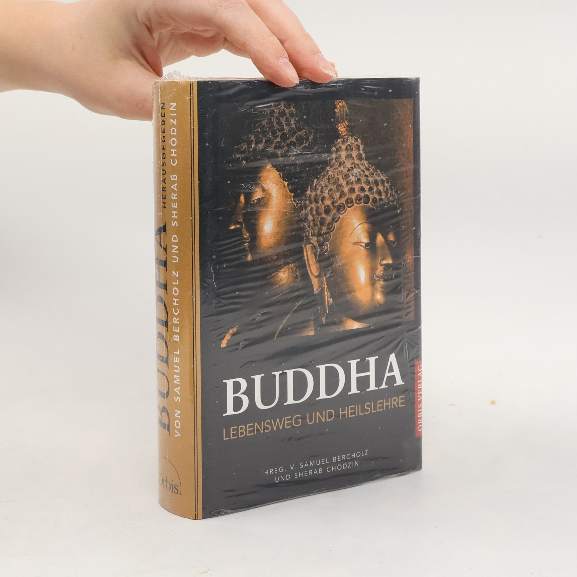 Samuel Bercholz Buddha