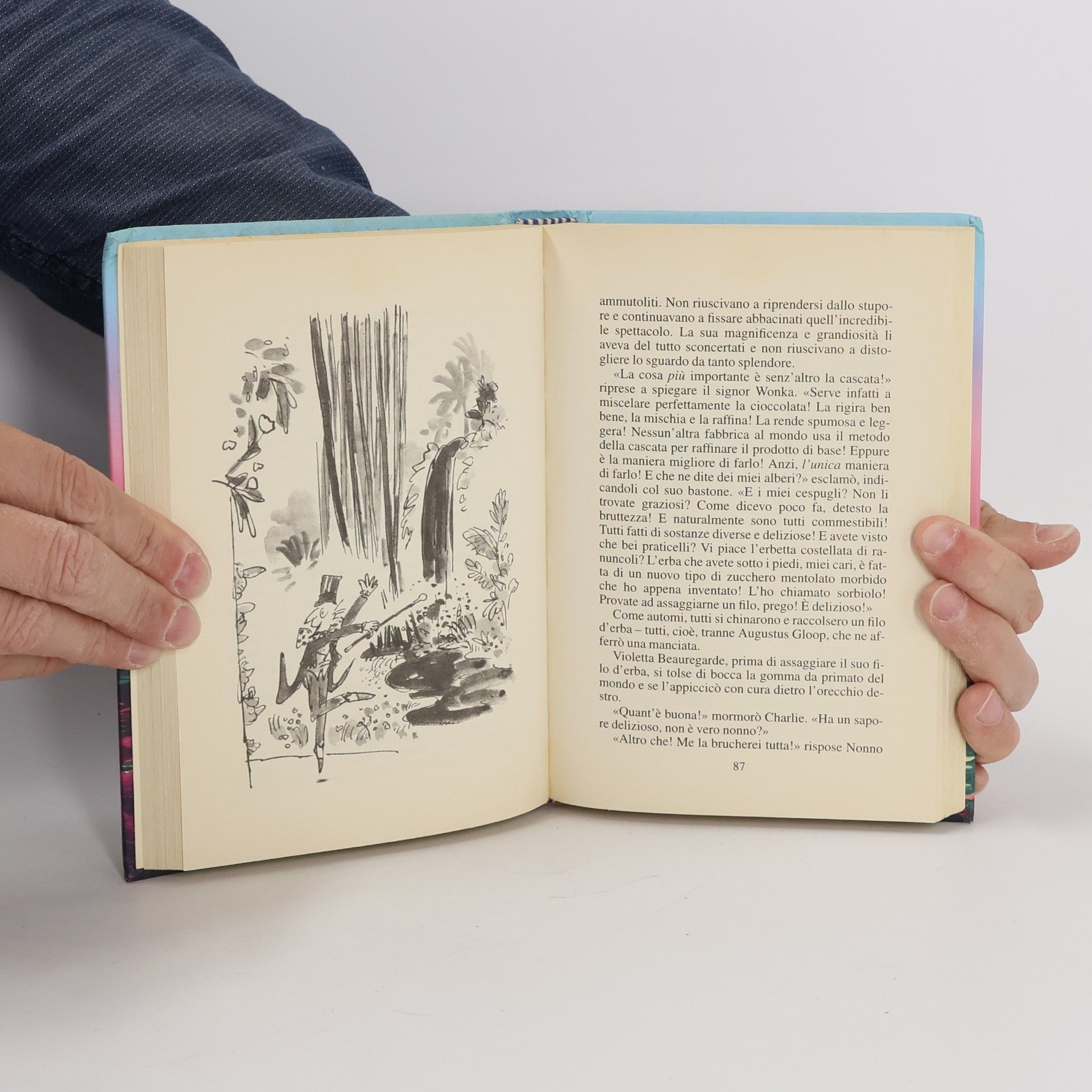 Roald Dahl La fabbrica di cioccolato