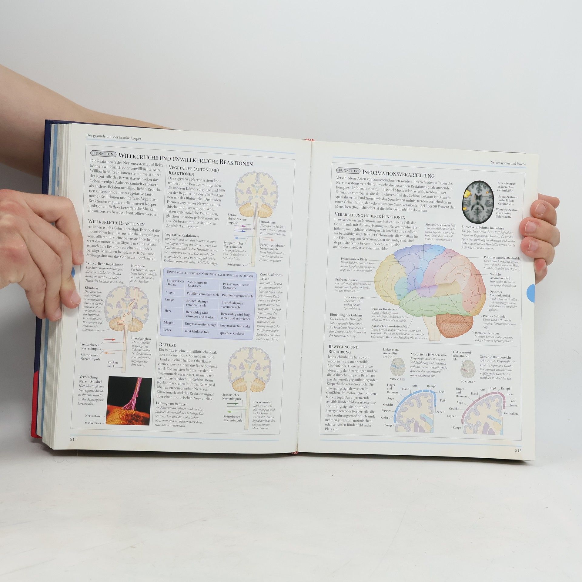 Autorenkollektiv Medizin & Gesundheit