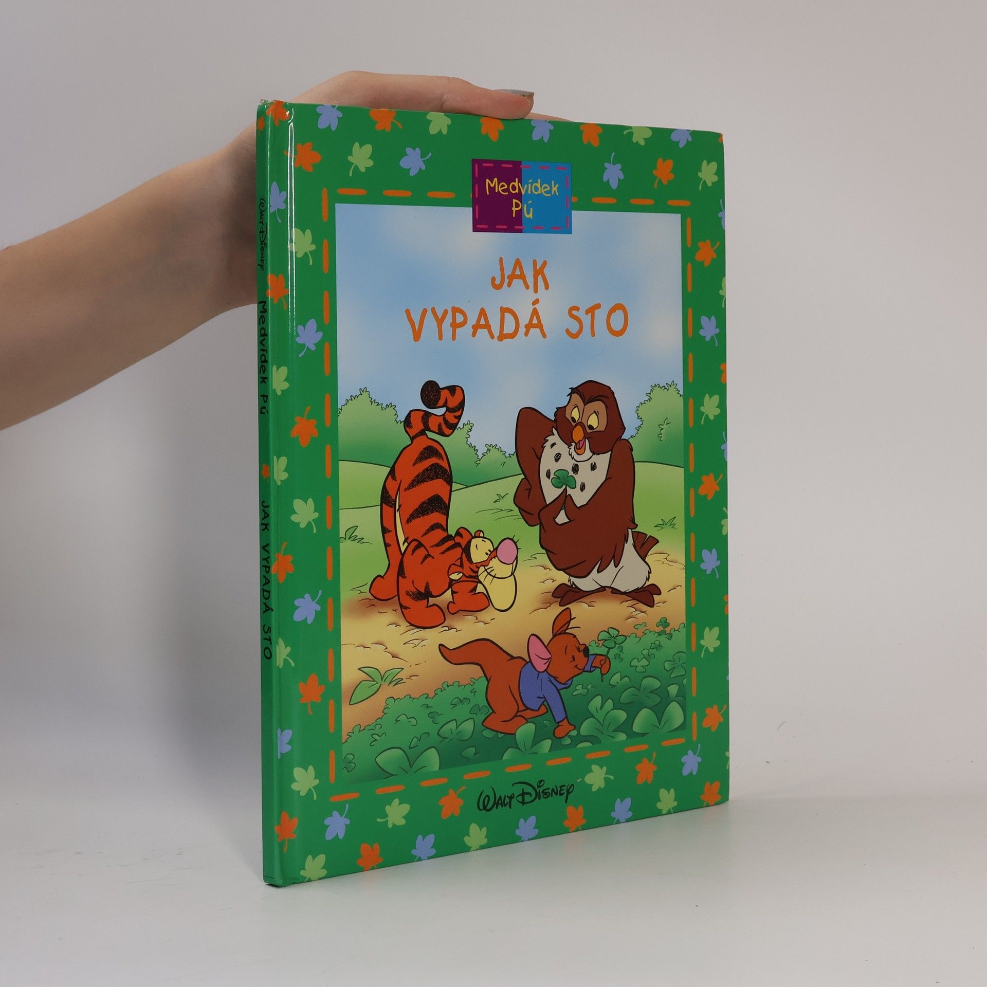 Autorenkollektiv Medvídek Pú. Jak vypadá sto