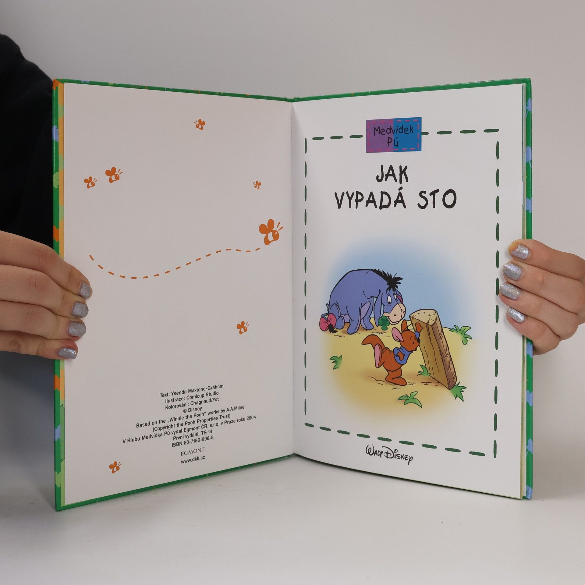 Kolektiv autorů Medvídek Pú. Jak vypadá sto