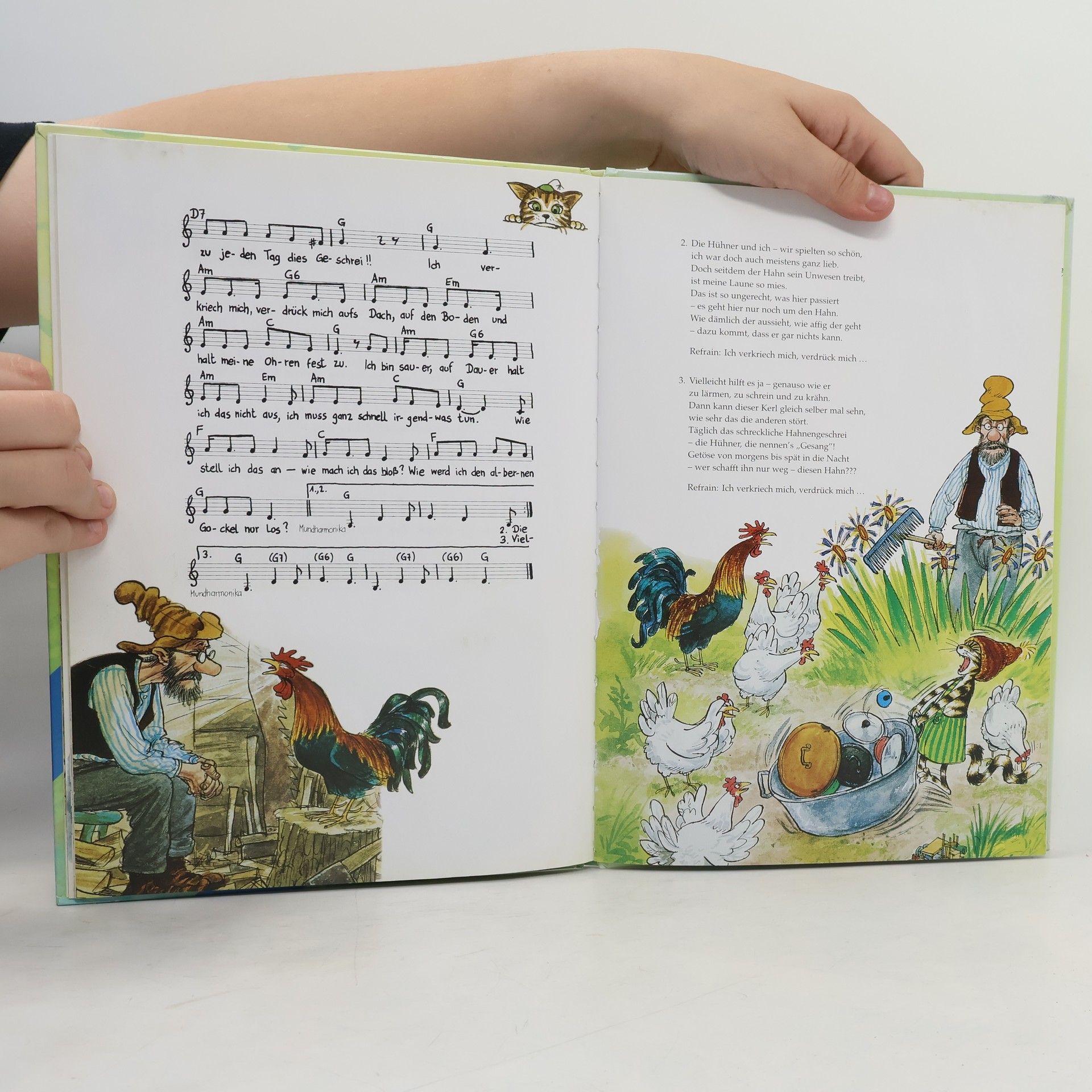 Sven Nordqvist Das große Liederbuch von Pettersson und Findus, m. Audio-CD
